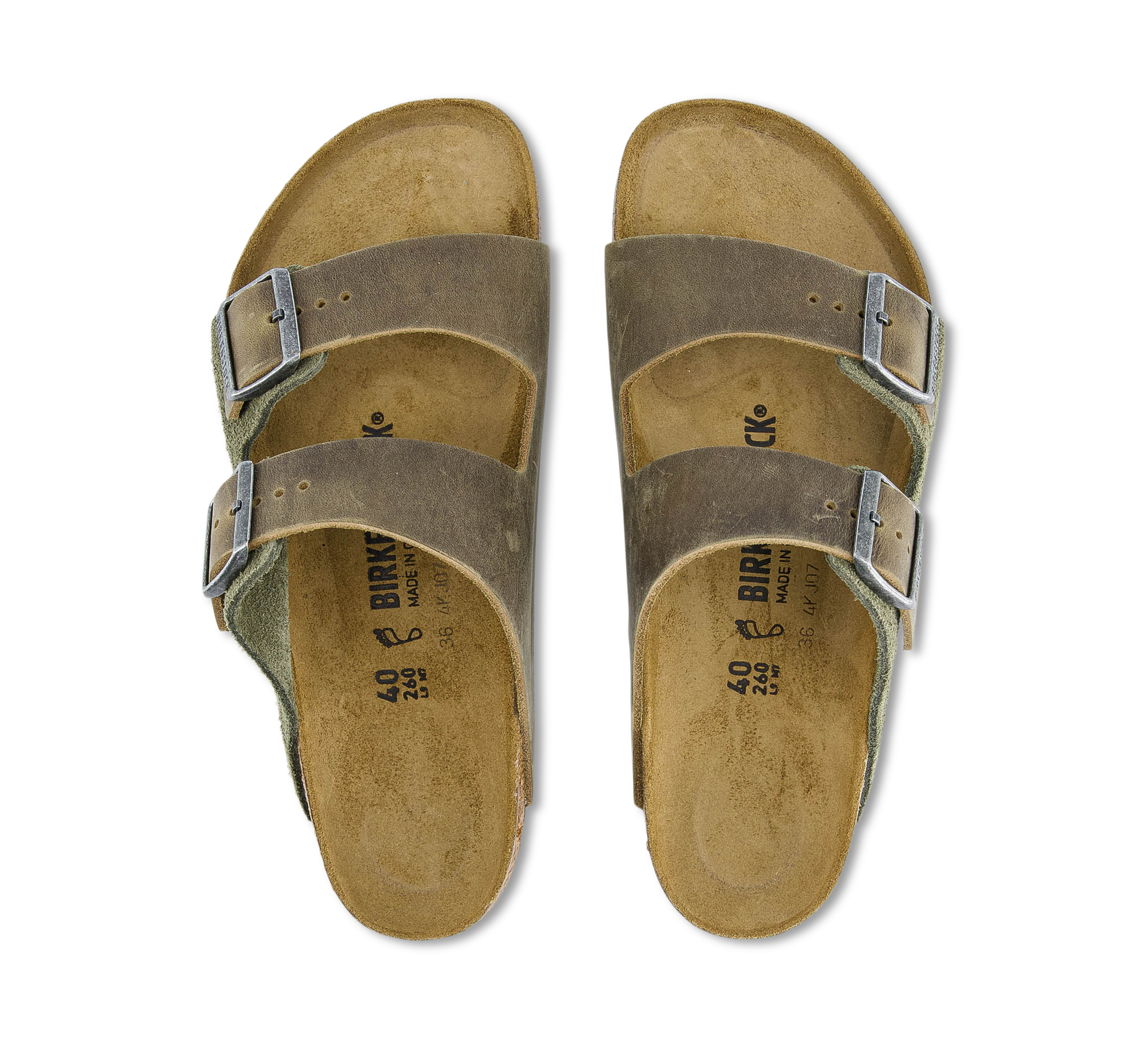 Arizona LEVE/LEOI Thyme