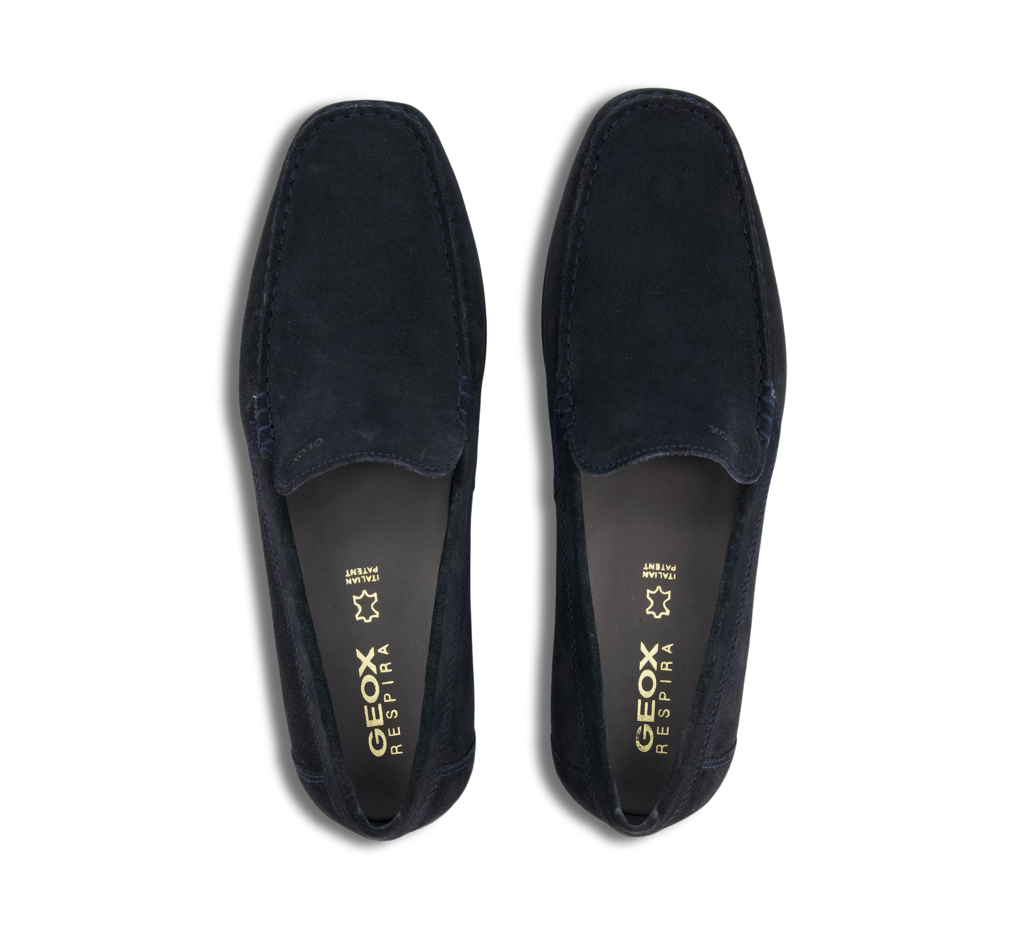 U ASCANIO A - SUEDE