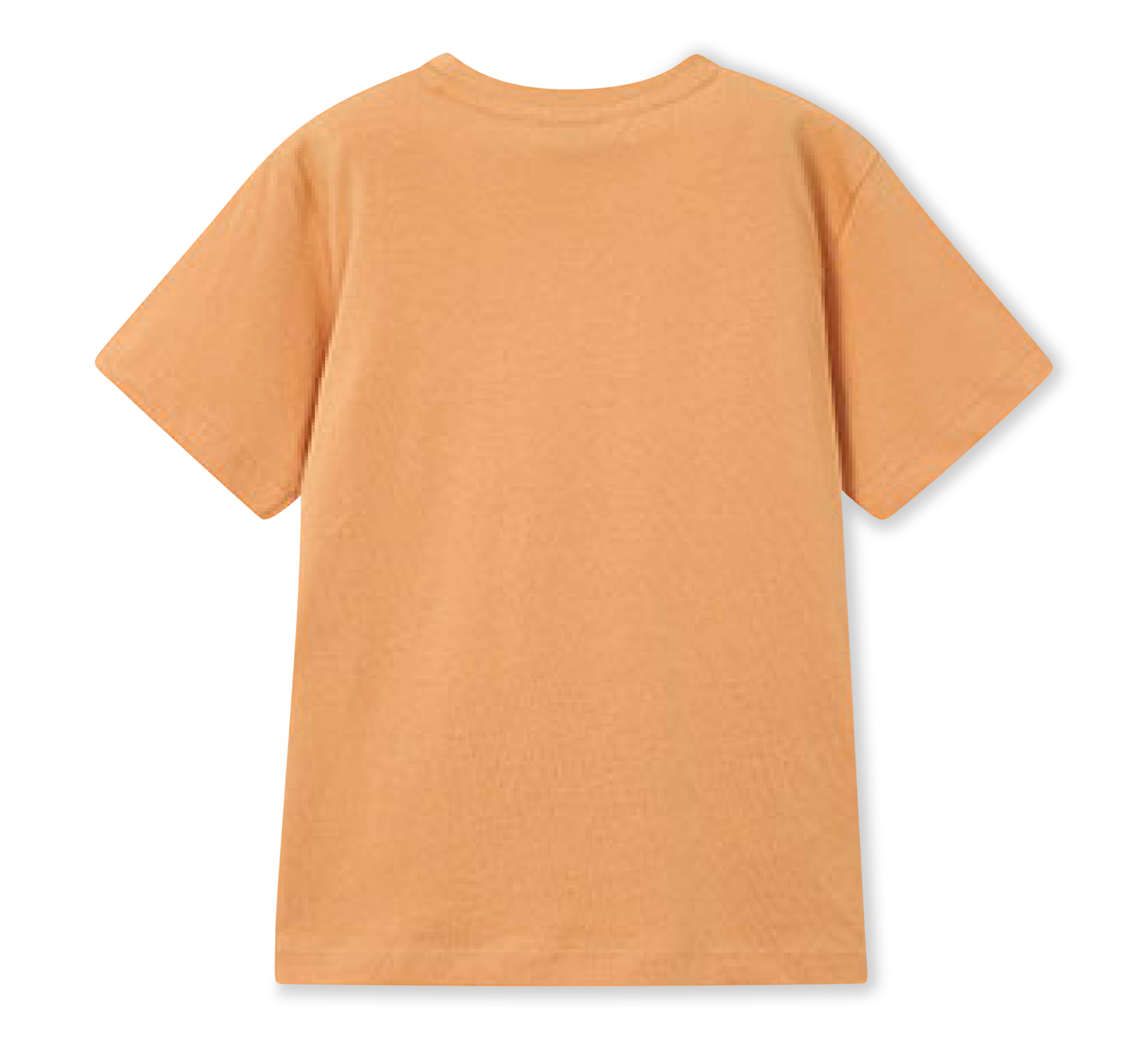 paar T-shirt Crocodile