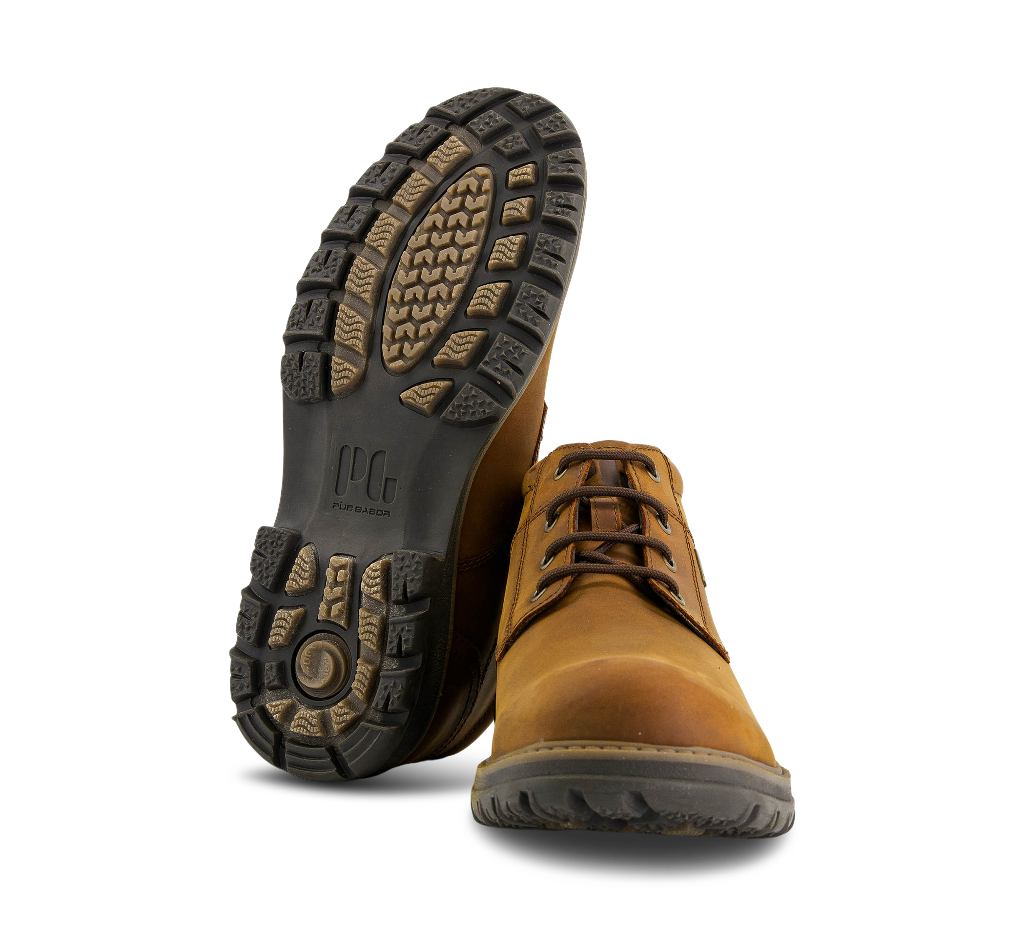 11155835_f3c9f150-5baa-11ee-9f4b-bb7eaf8b3b60