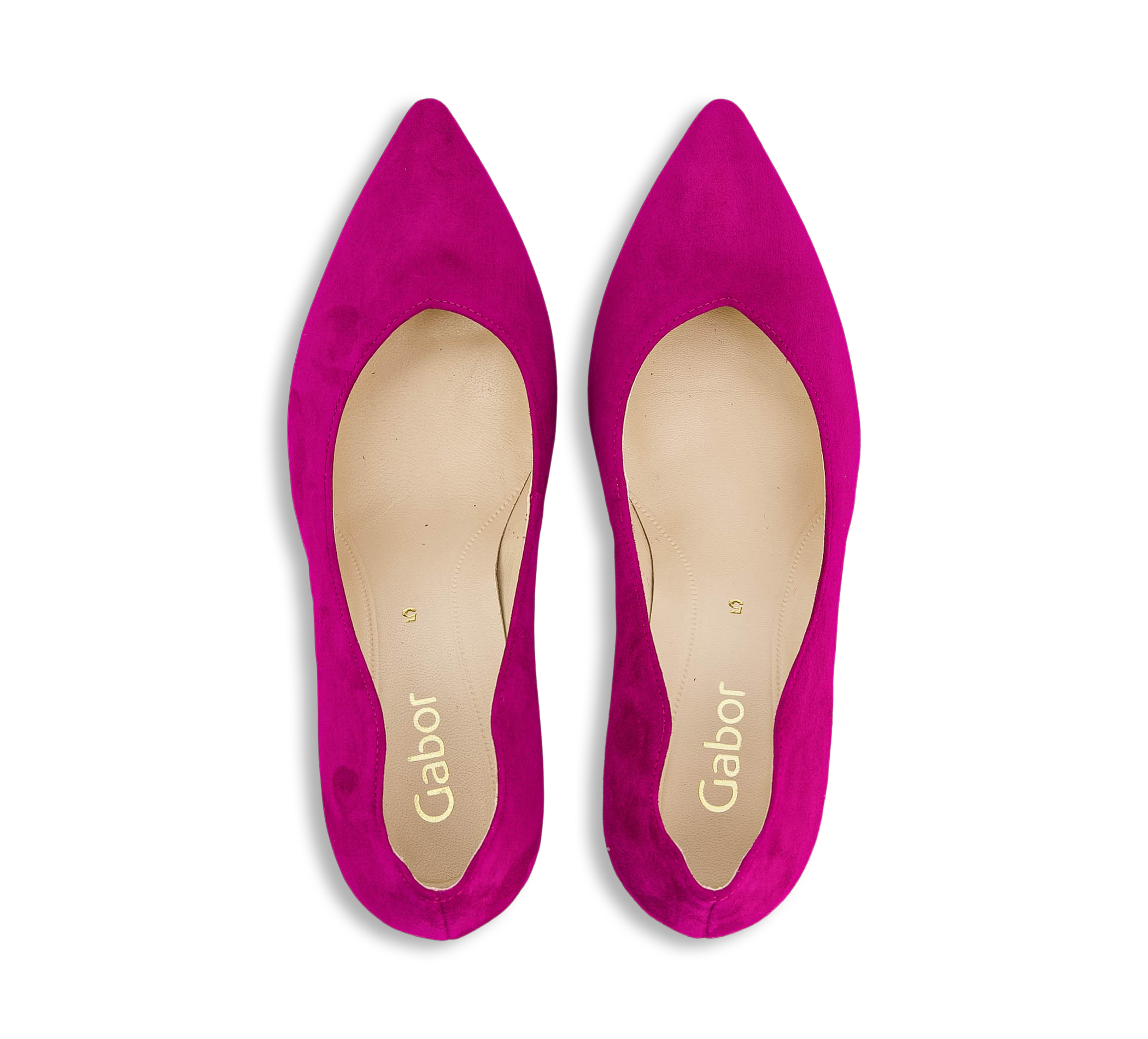 20442432_6575bea0-2bbe-11ee-b6c3-a1534cee7b5f