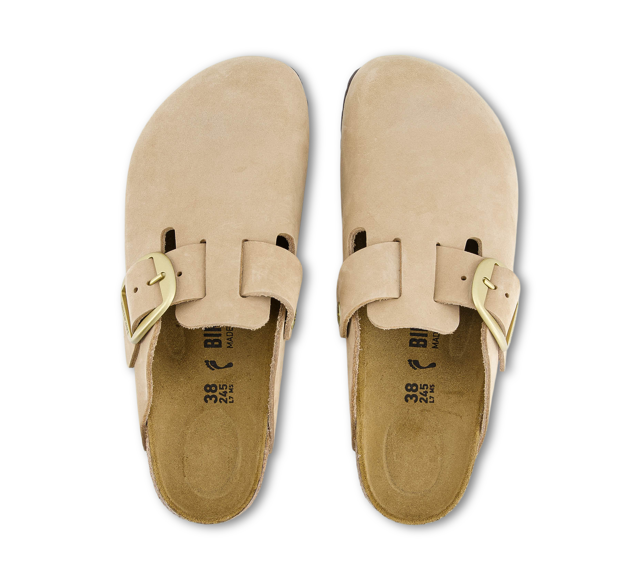 Boston Big Buckle LENB Sandcastle