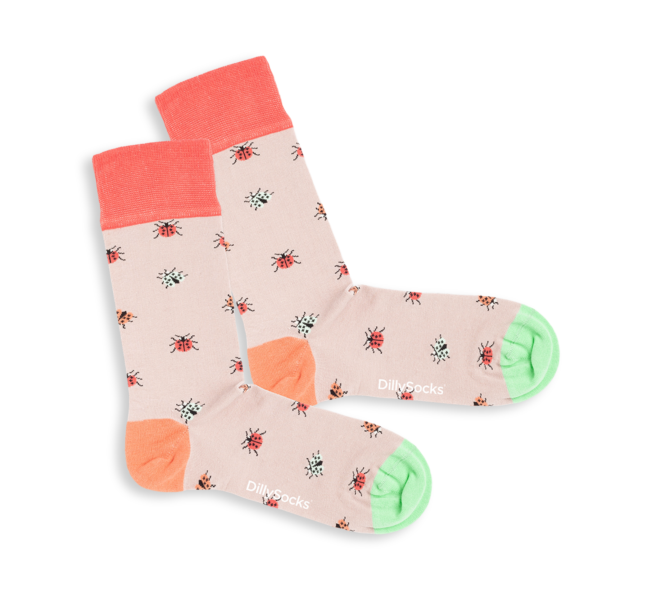 aussen Buzzing Beetles