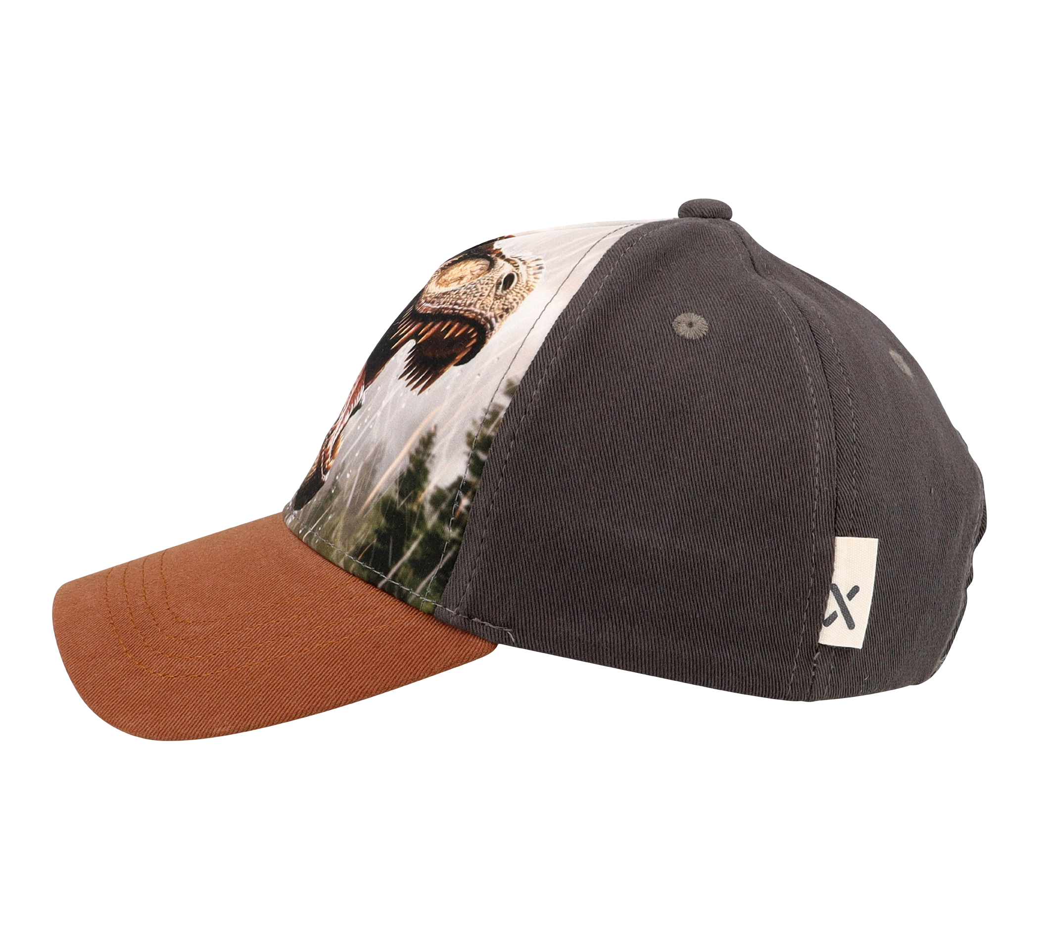 paar Kids Boy-cap T-rex