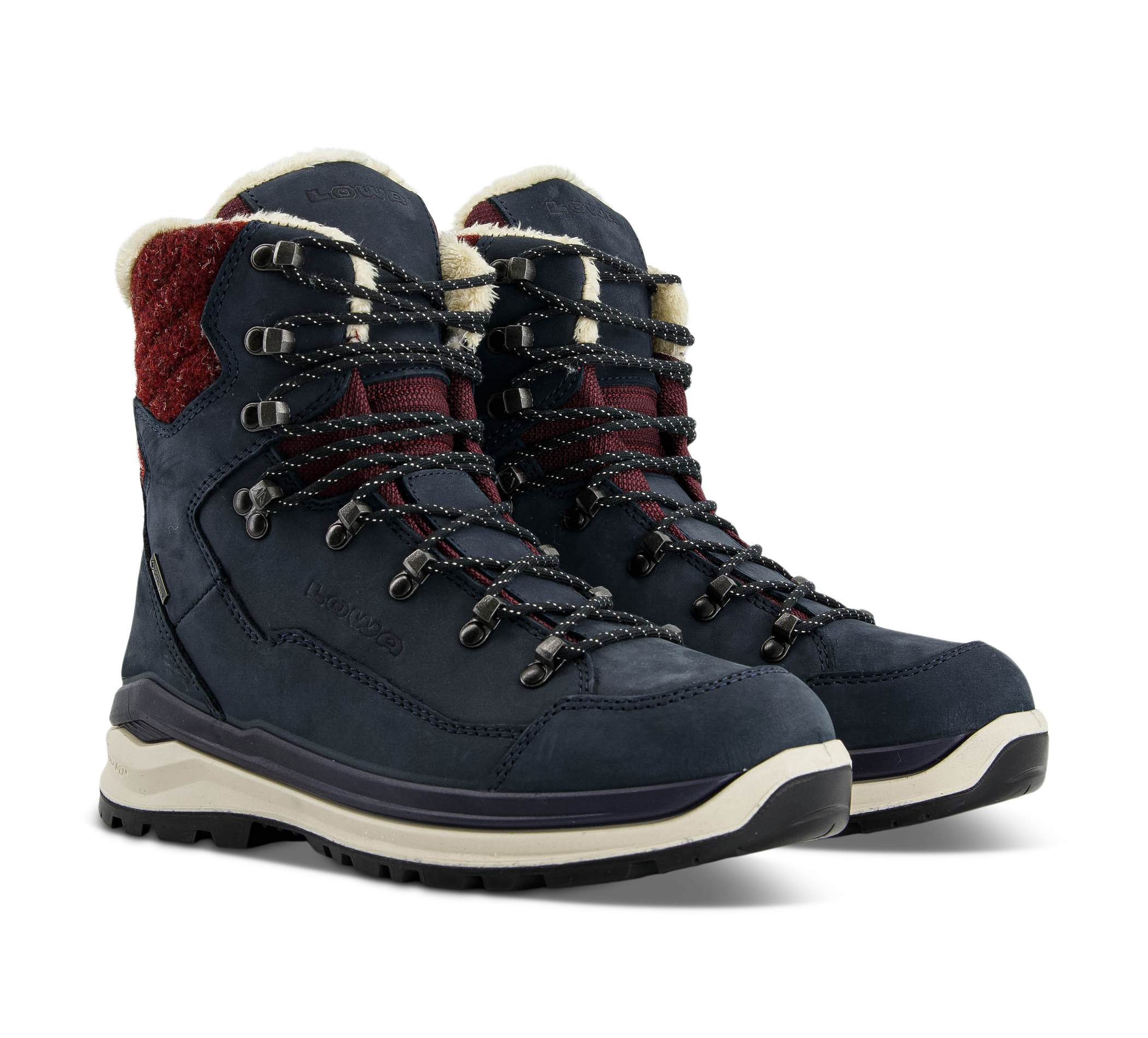 RENEGADE EVO ICE 2 GTX WS Renegade Eco Ice 2 Gtx