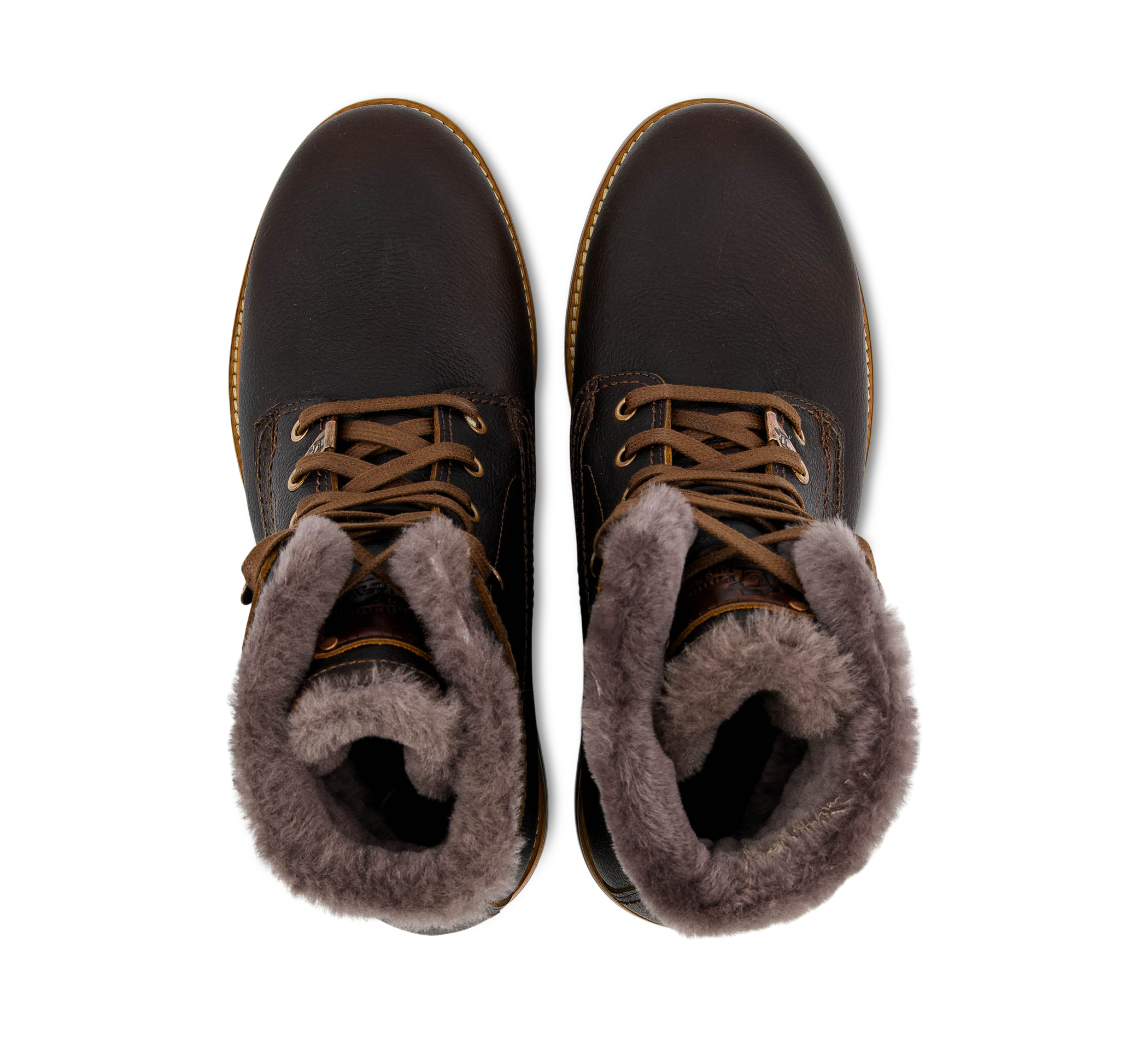 P03 Aviator Igloo C24/PT153585C024