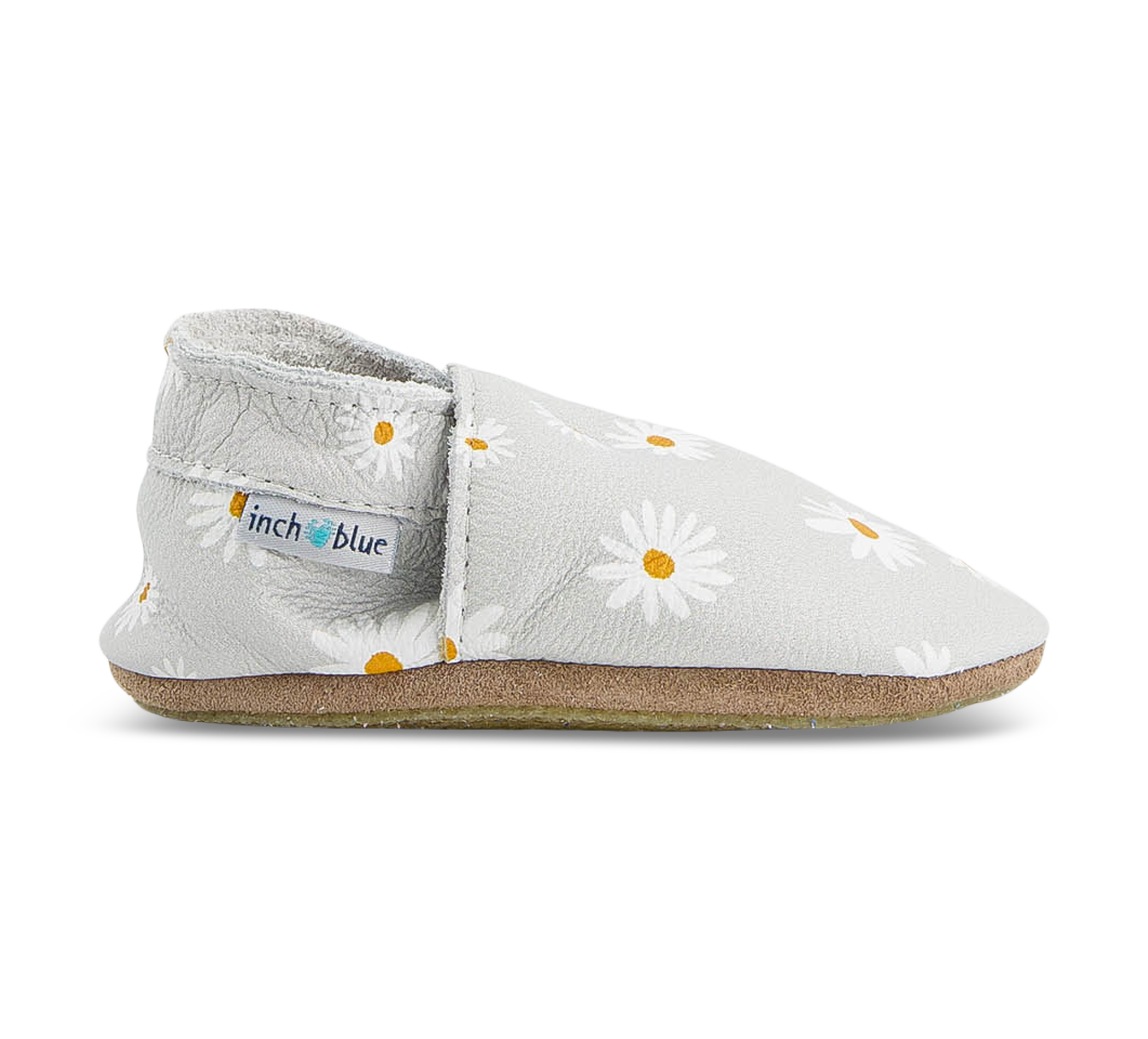 aussen Daisy