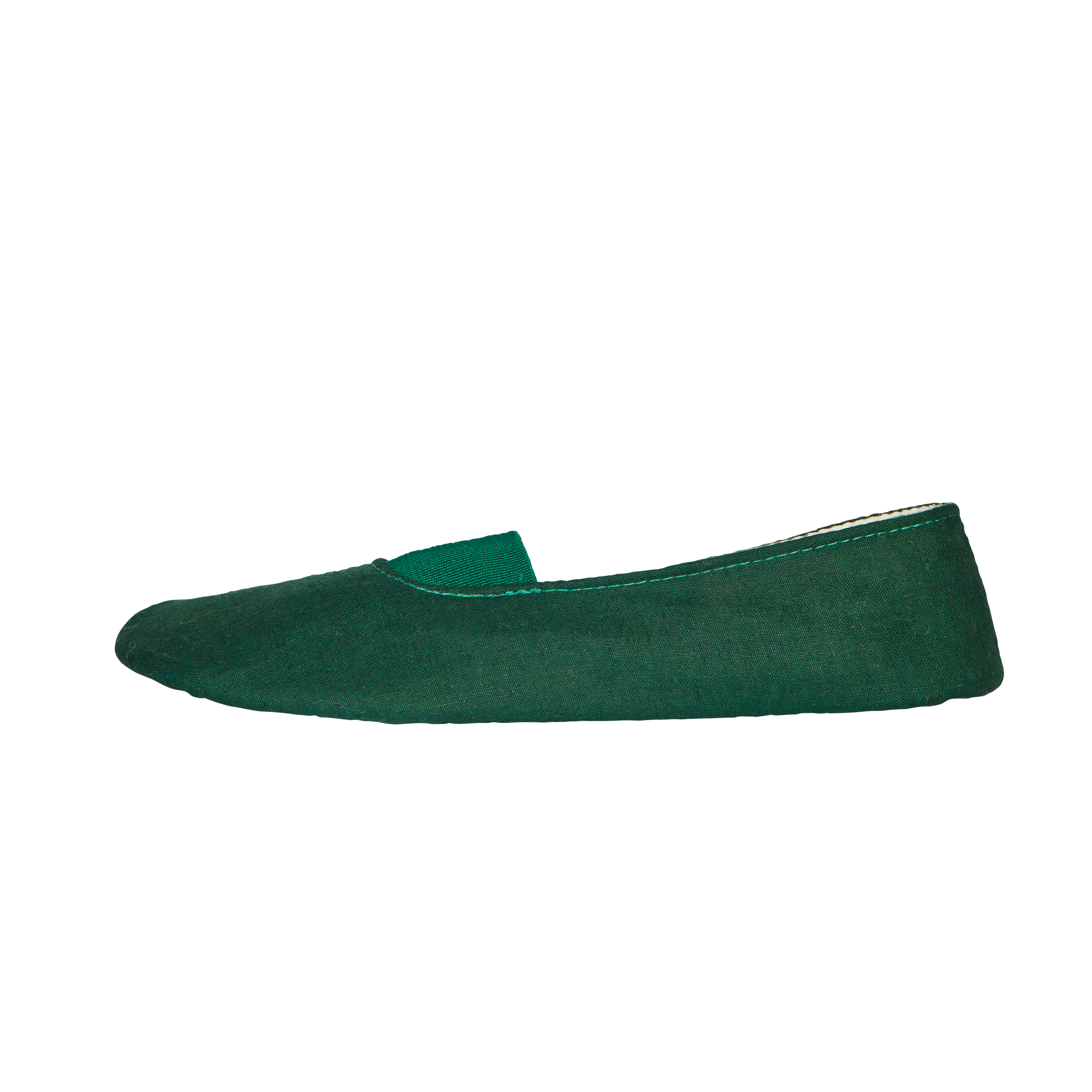 aussen Shaking Chameleon - Gymnastikschuhe
