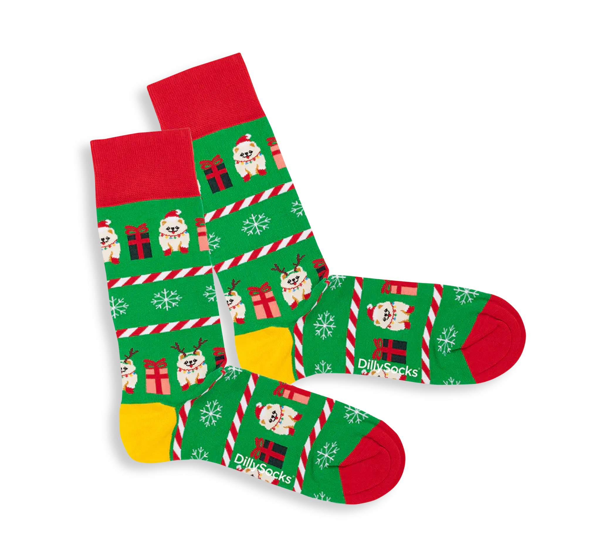 aussen Festive Pomeranian