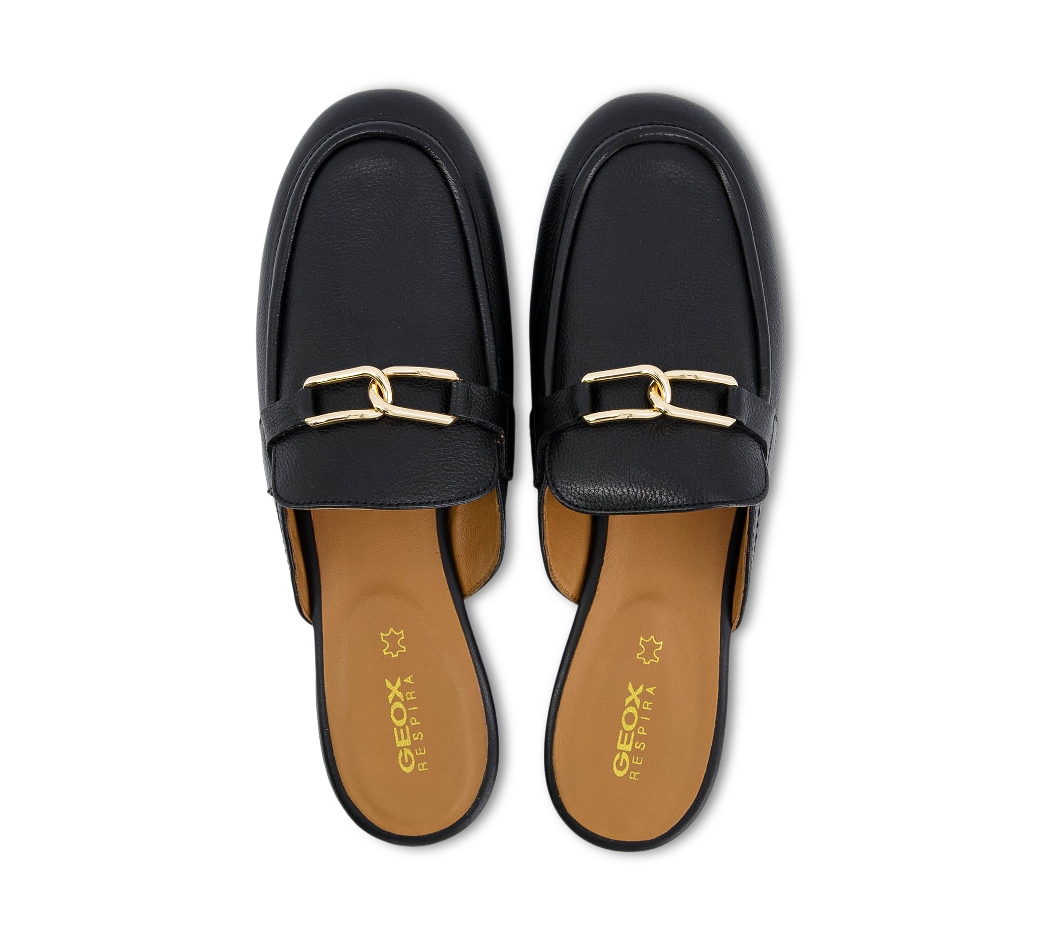 D PALMARIA C - TUMB.LEA