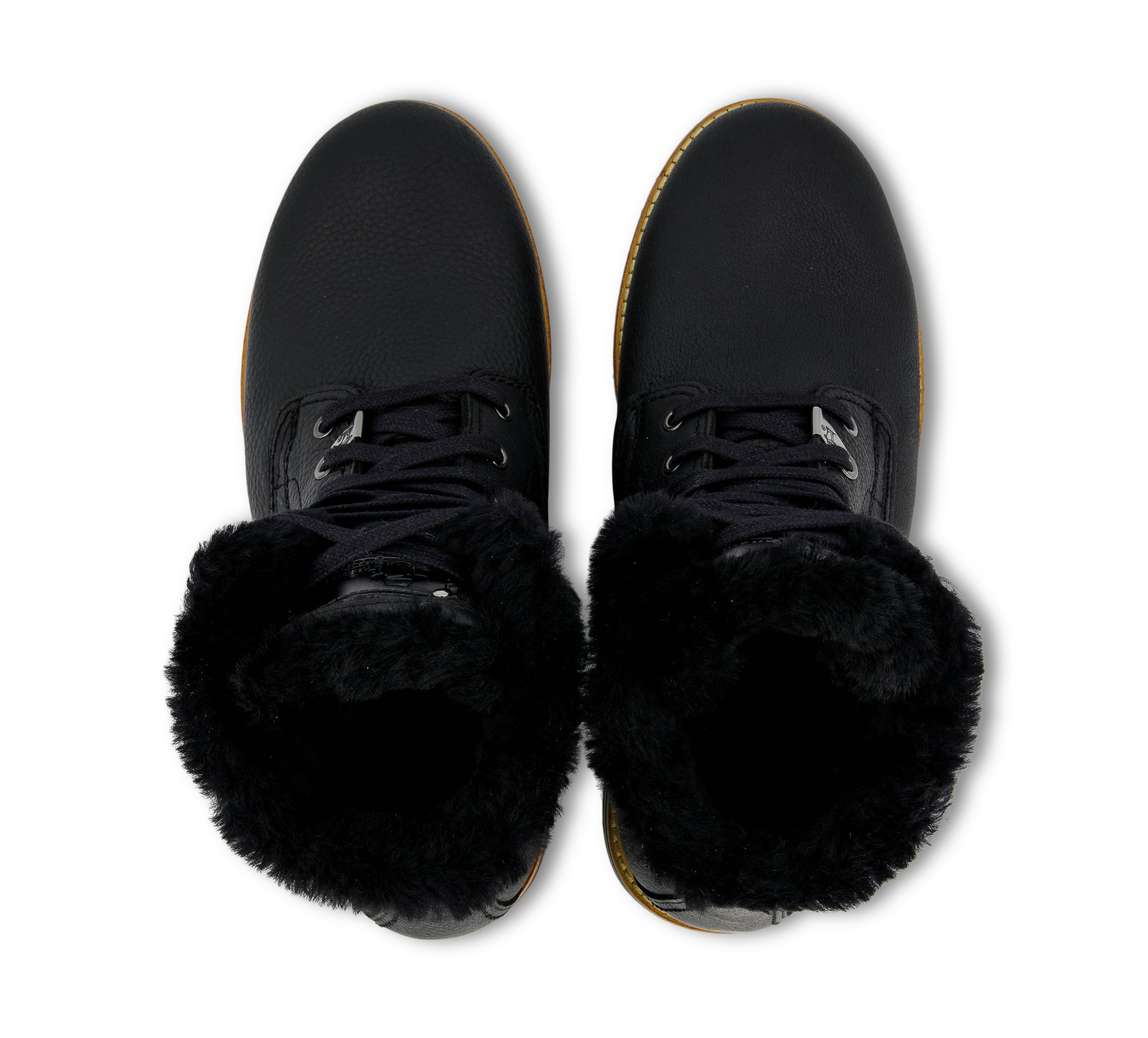 P03 Aviator Igloo C25/PT153585C025