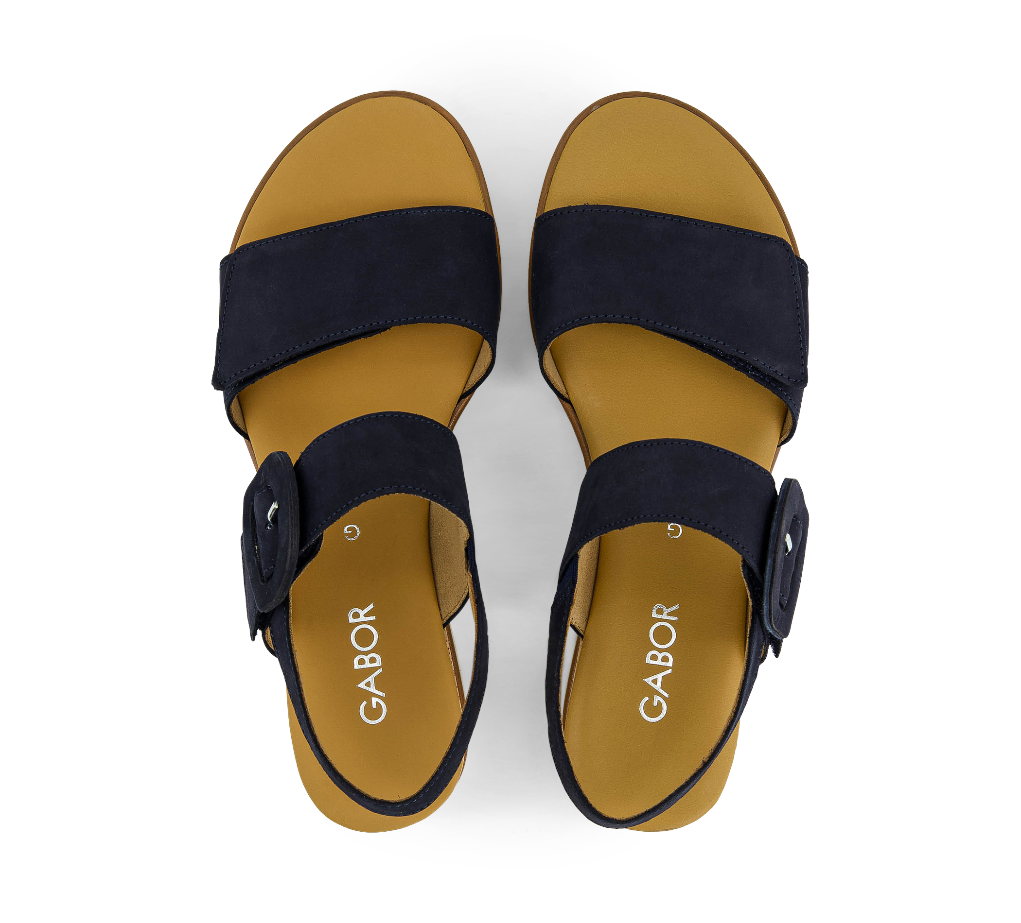 33245592_aa5742e8-91d1-412d-9964-fa82d69c49f8