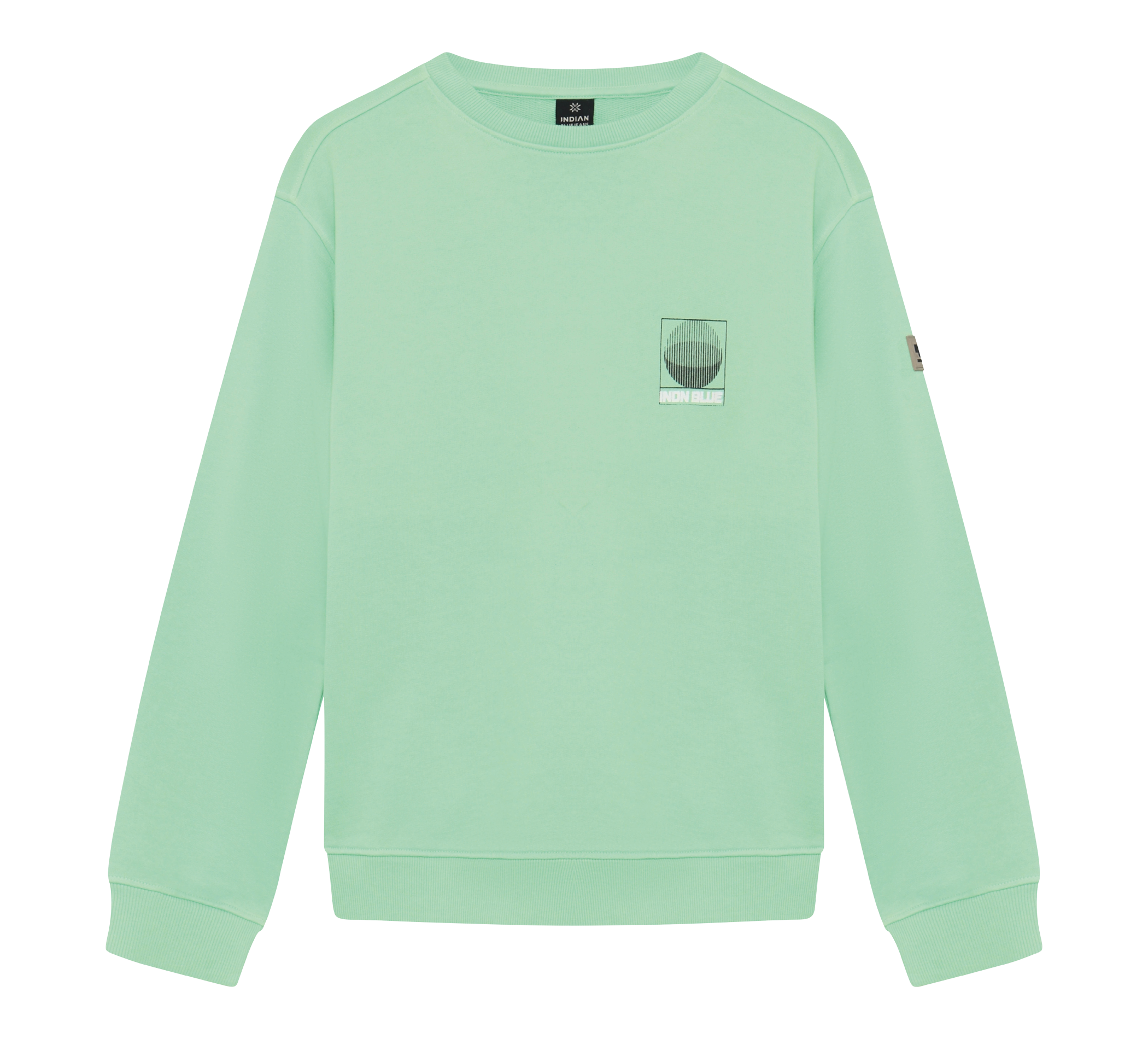 Loose Fit Sweat Ind Washed