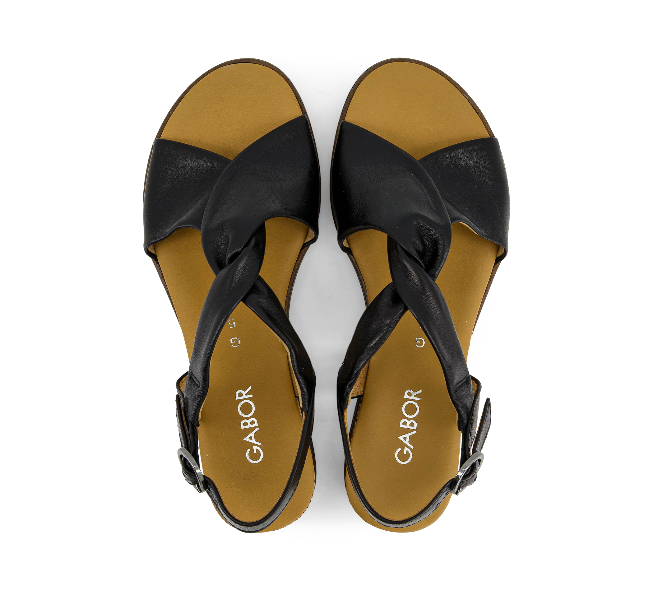 23325687_9ed2657b-ec31-4e17-bc24-c202f9f740ae