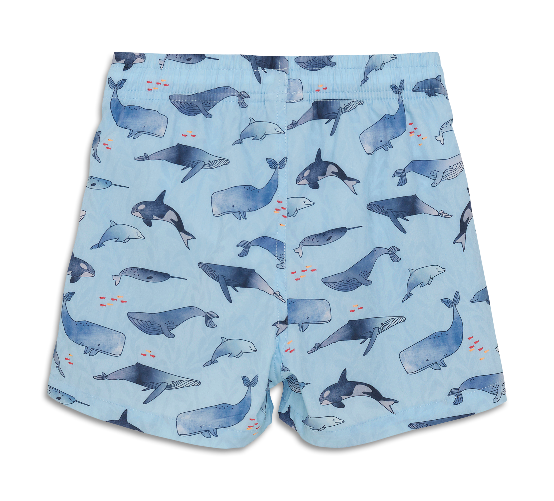 Swim Shorts