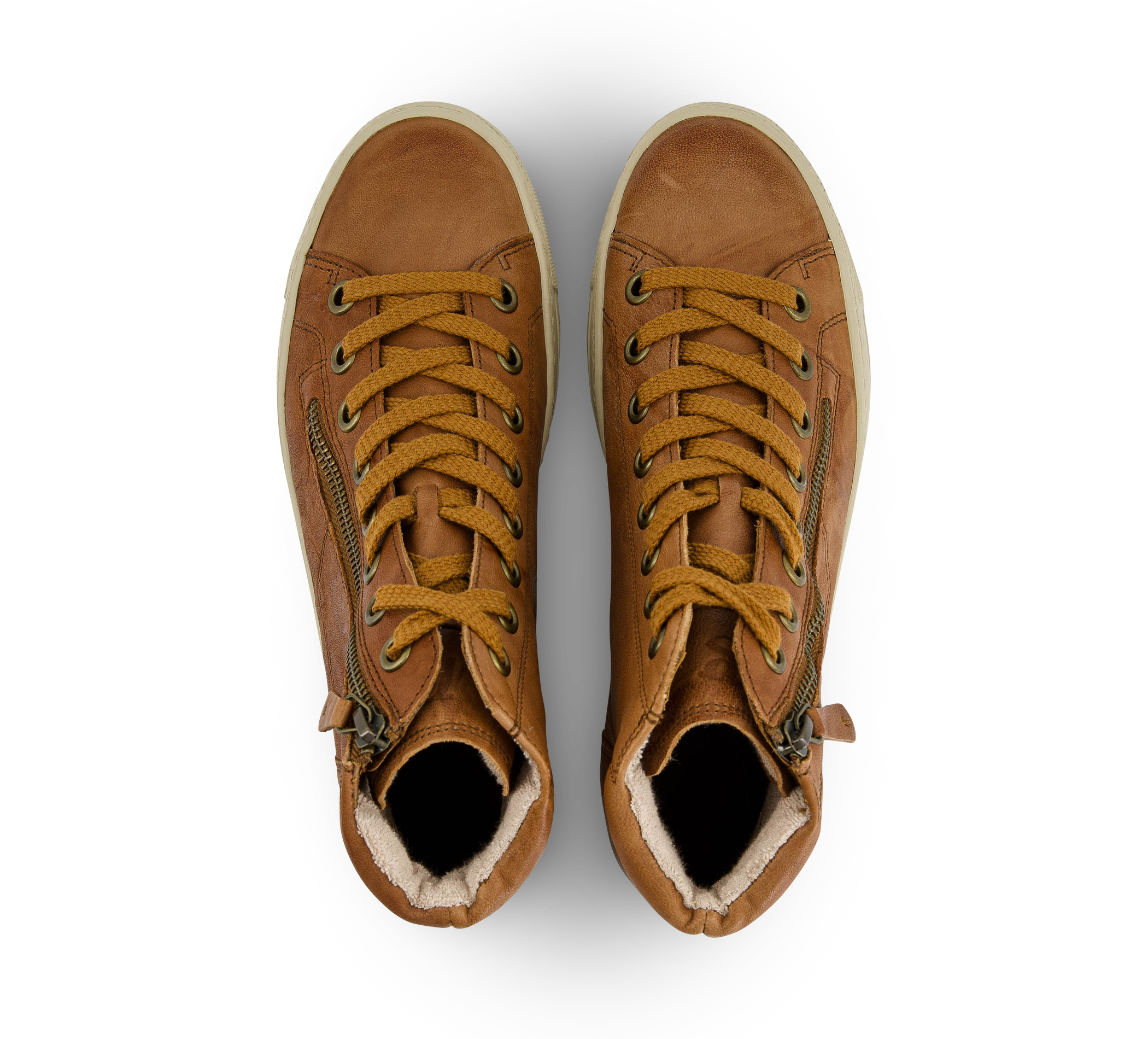 Sneaker high