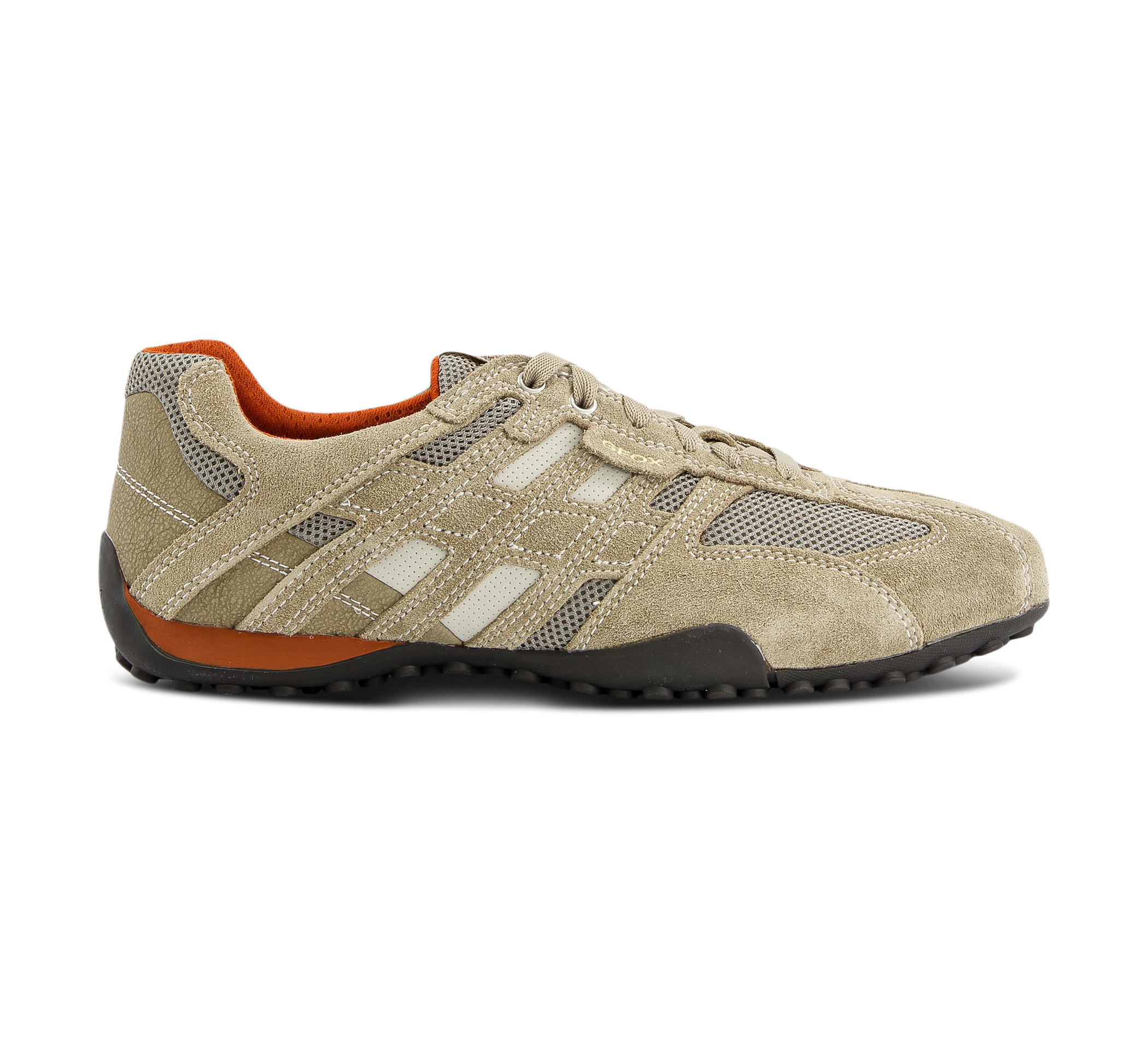 Snake - Sneaker low