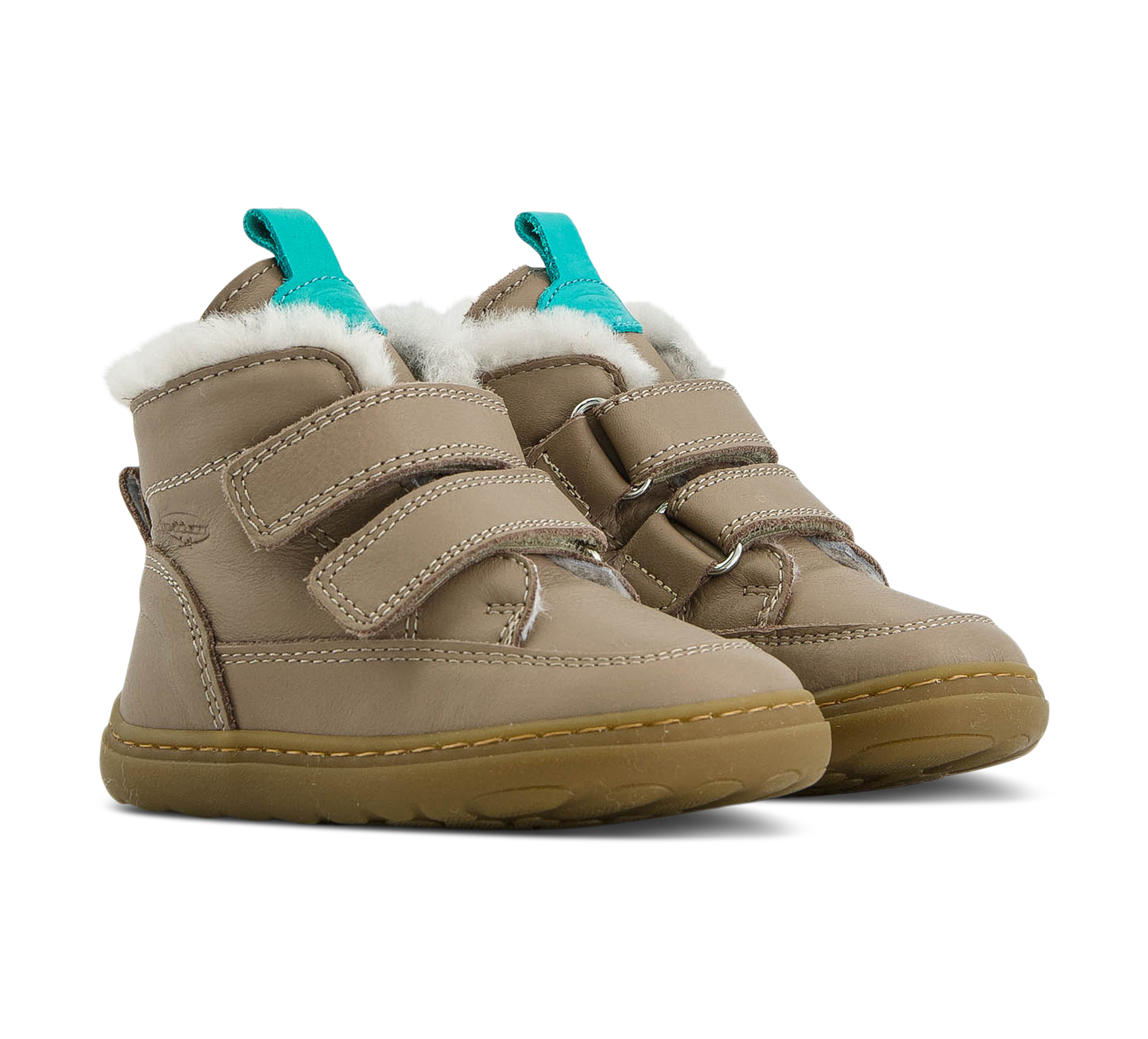 Polacco N.18 Maschio 968