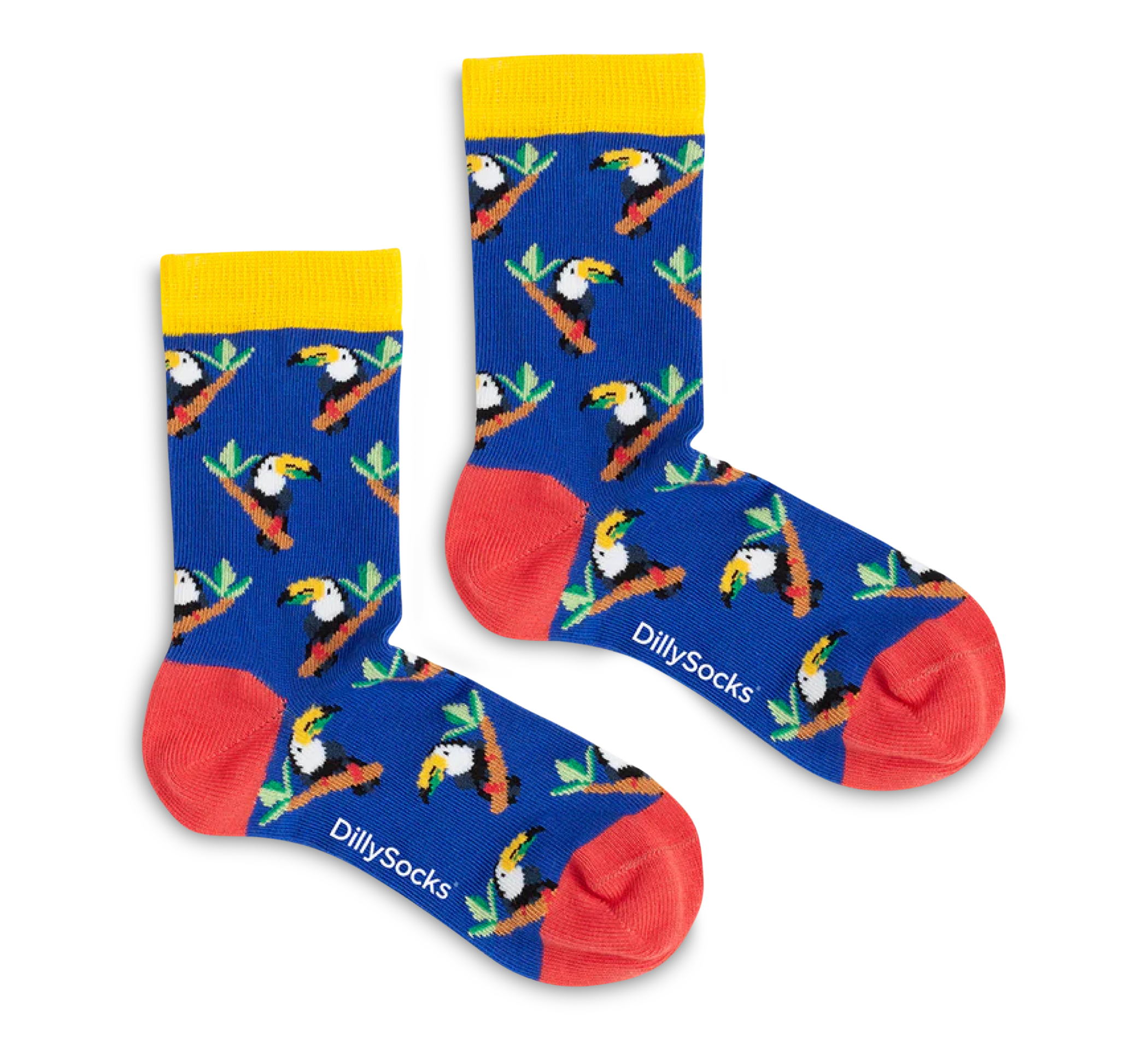 Lil Tropical Toucan