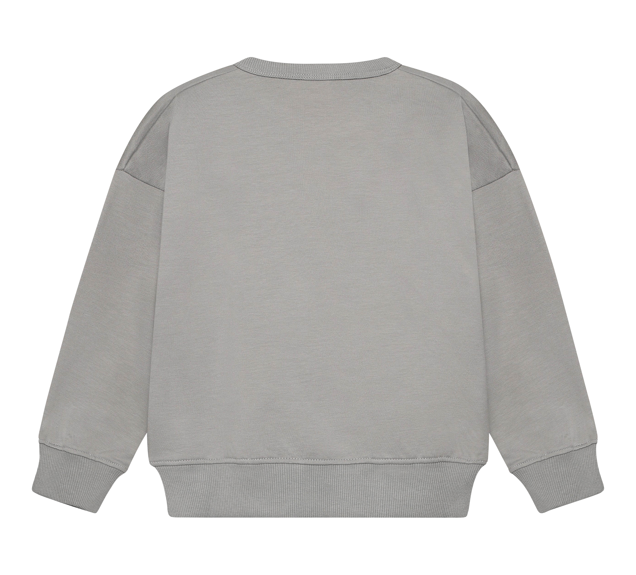 Sweatshirt Ls