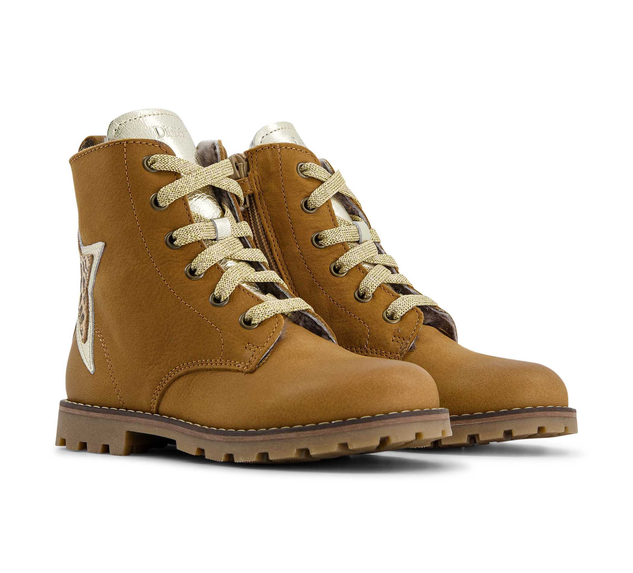 paar Winterschuhe