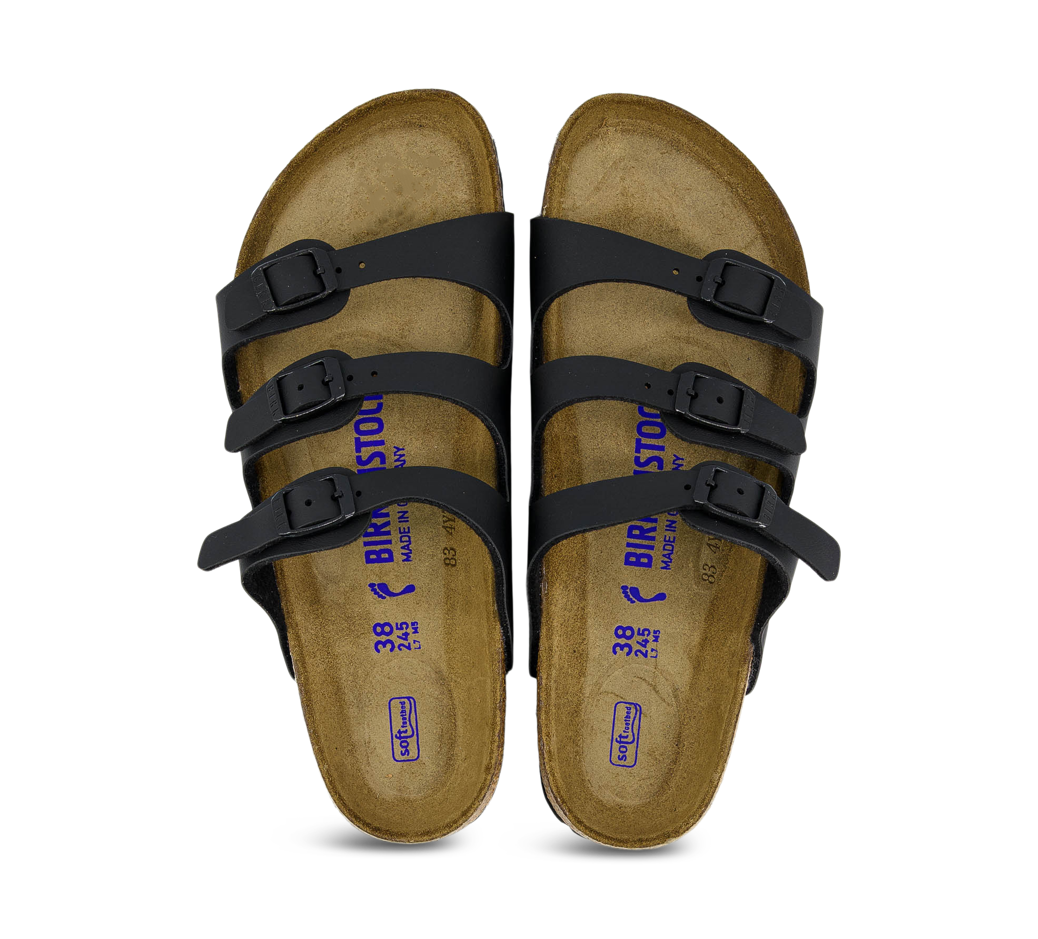 Florida SFB BF Black