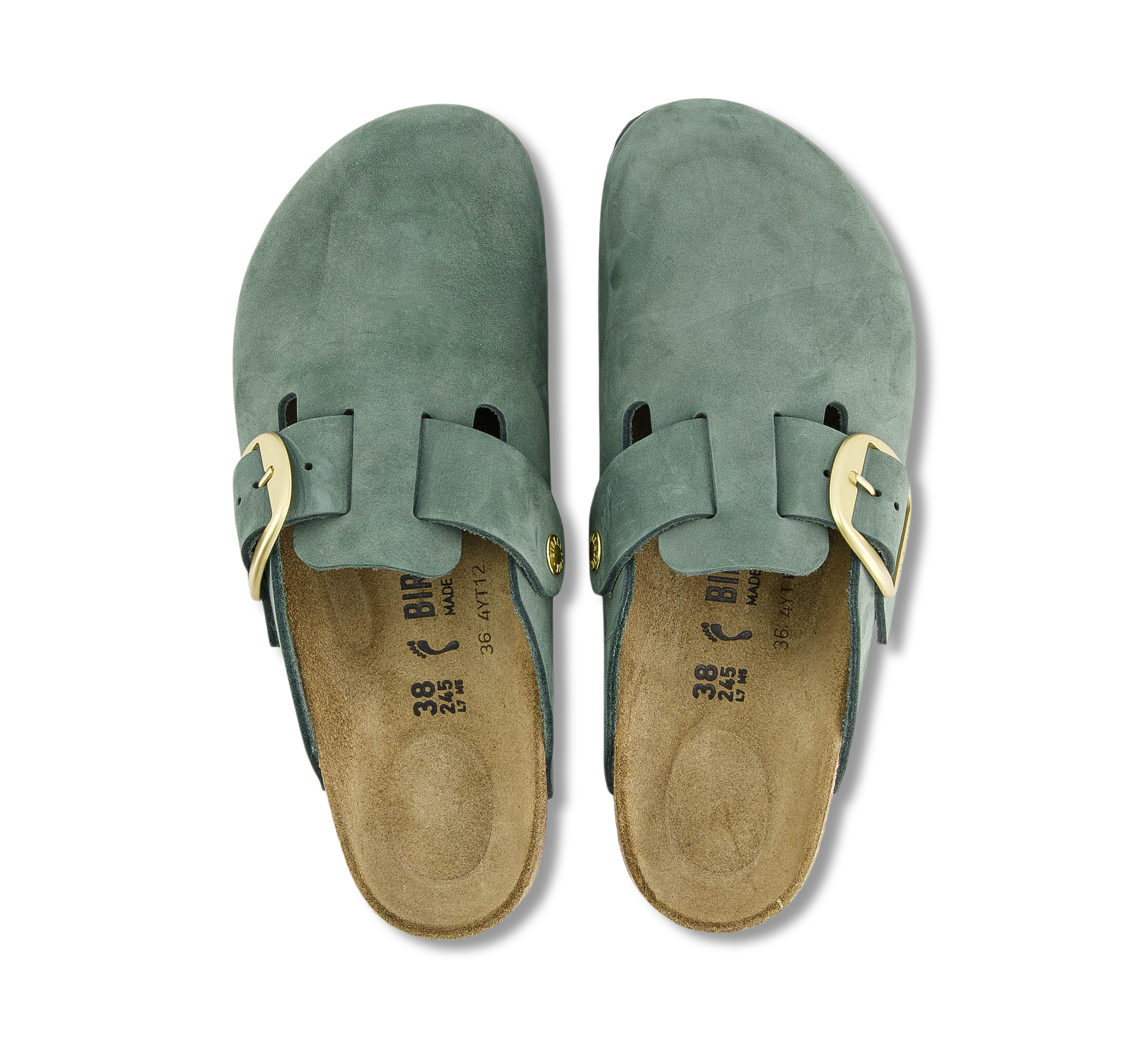 Boston Big Buckle LENB Thyme