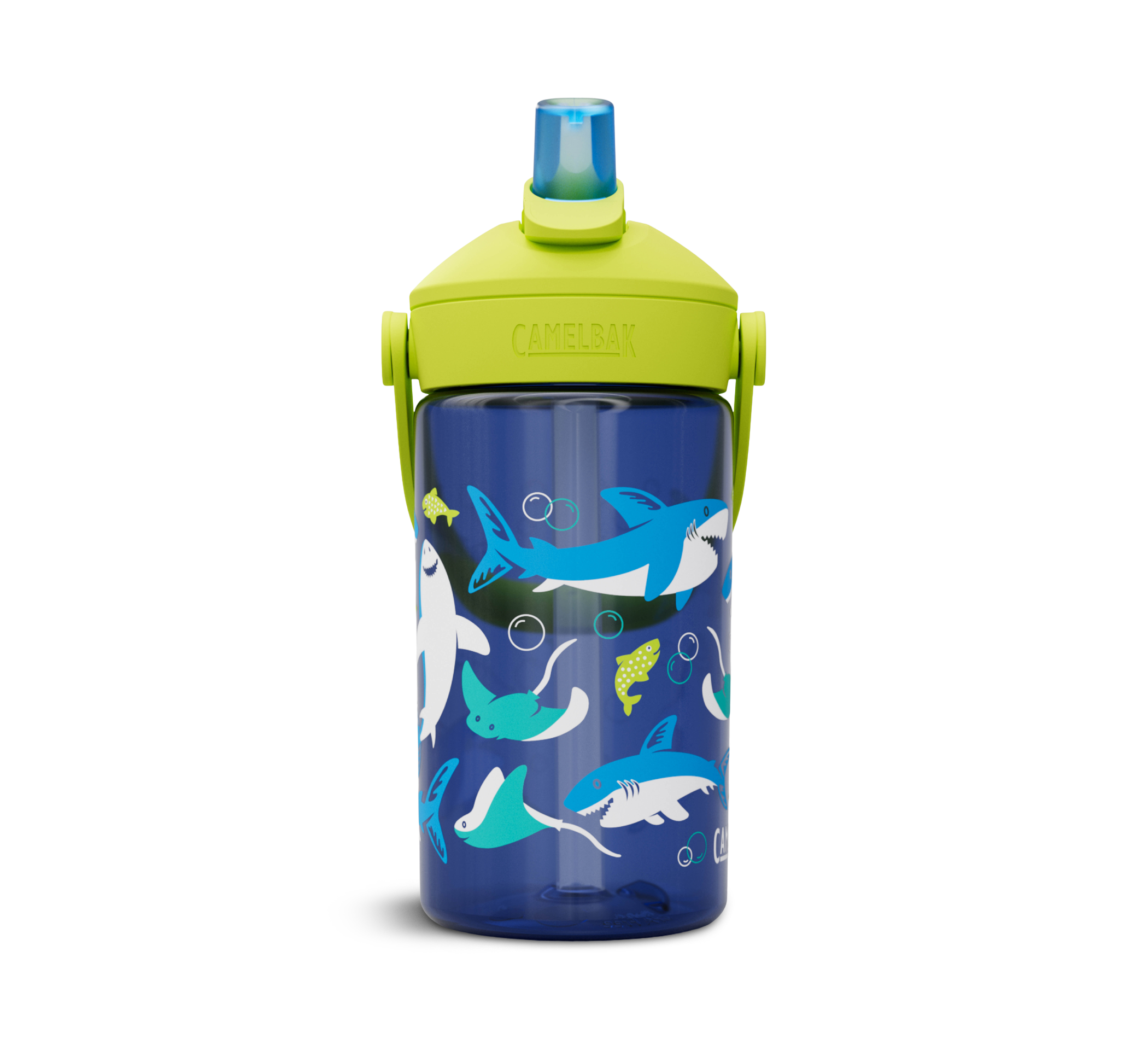 Sharks And Rays 0.4l