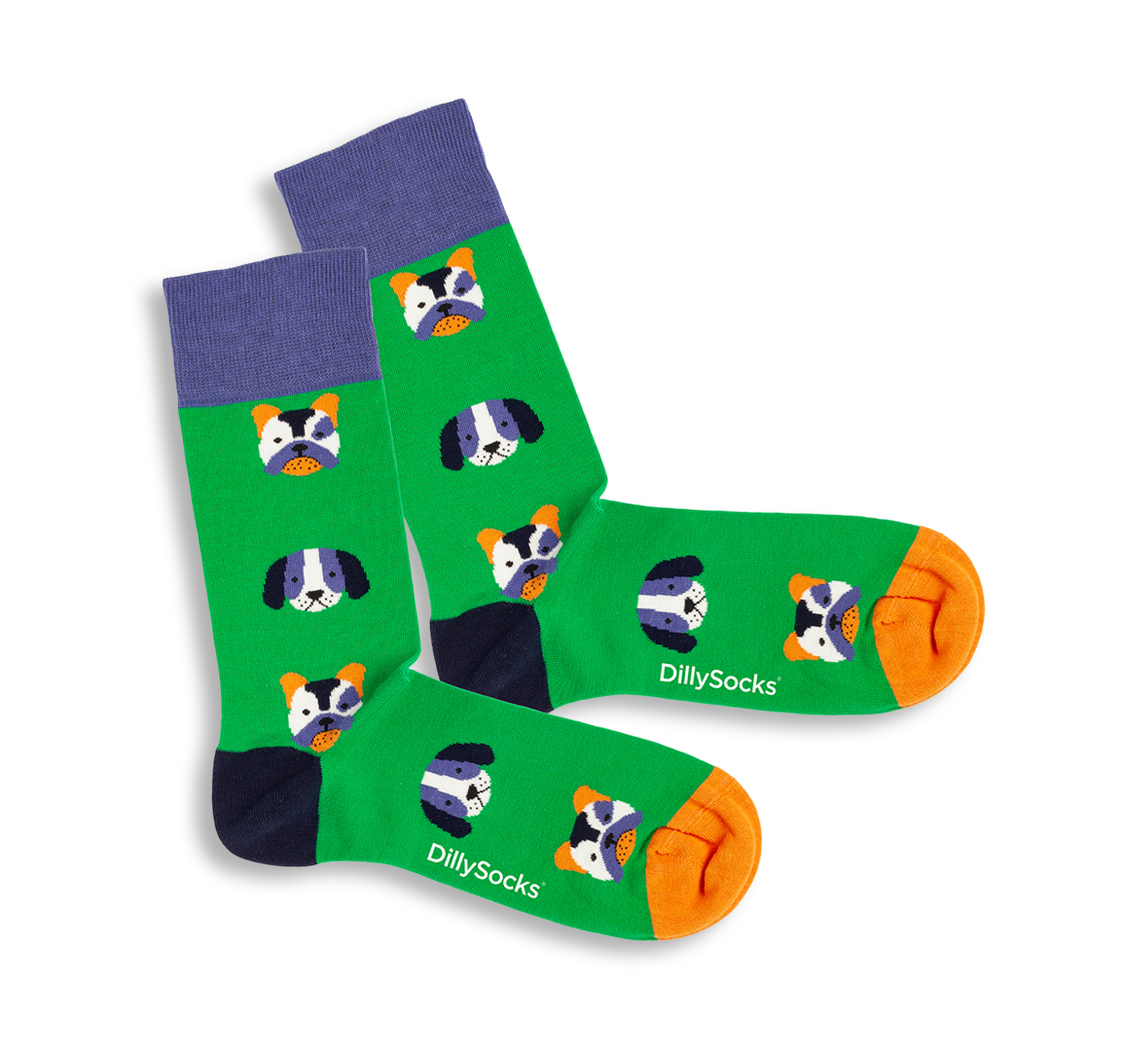 aussen Dog Portraits