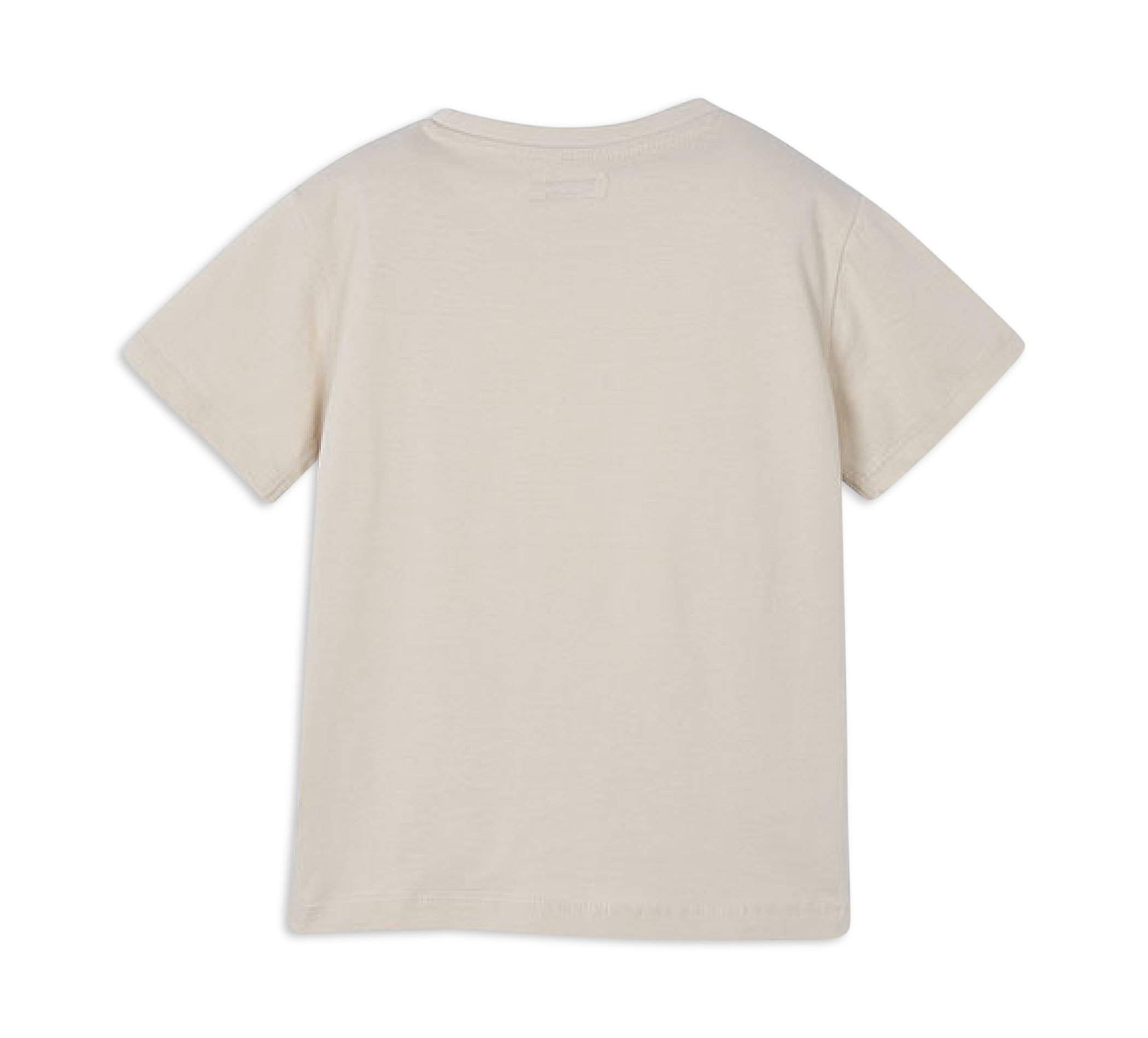 T-shirt Kurzarm Chameleon