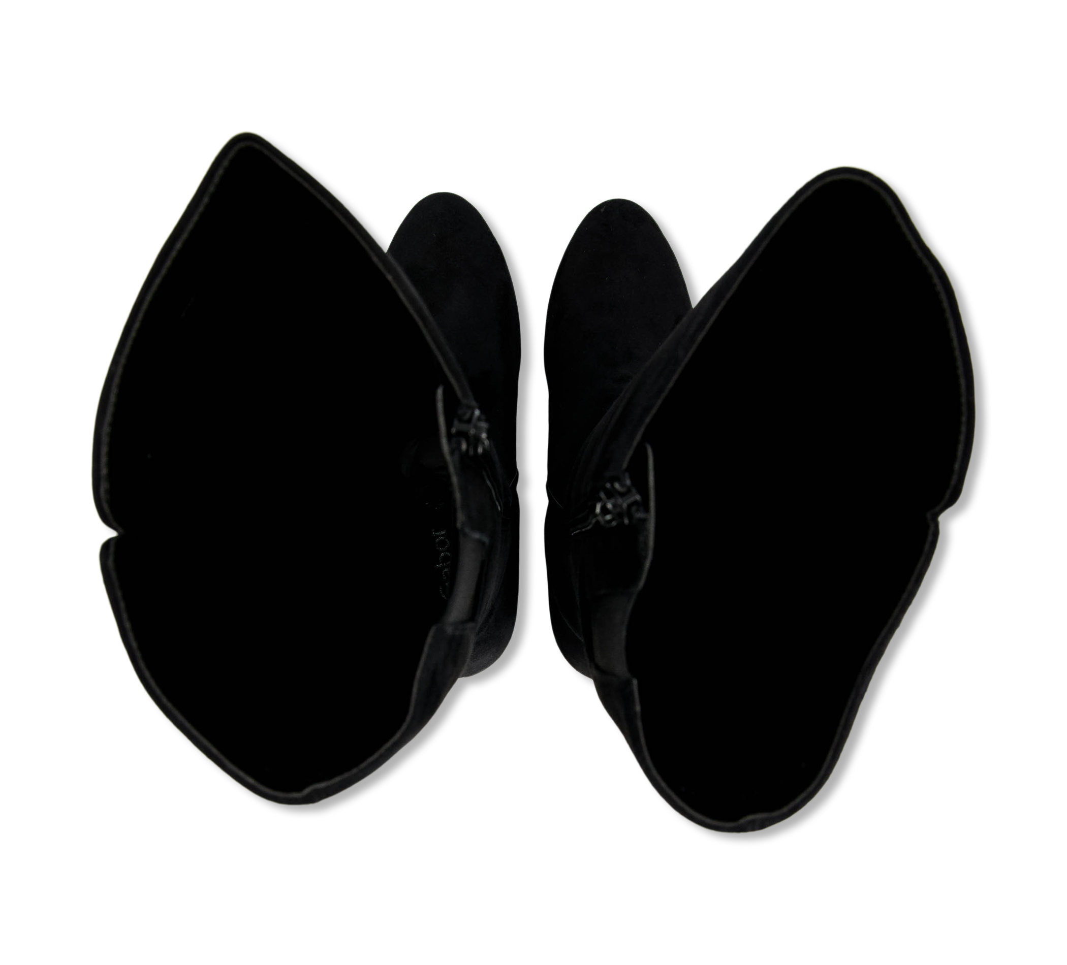 30327083_a468af21-d535-40a6-bbc7-f7375751b15f