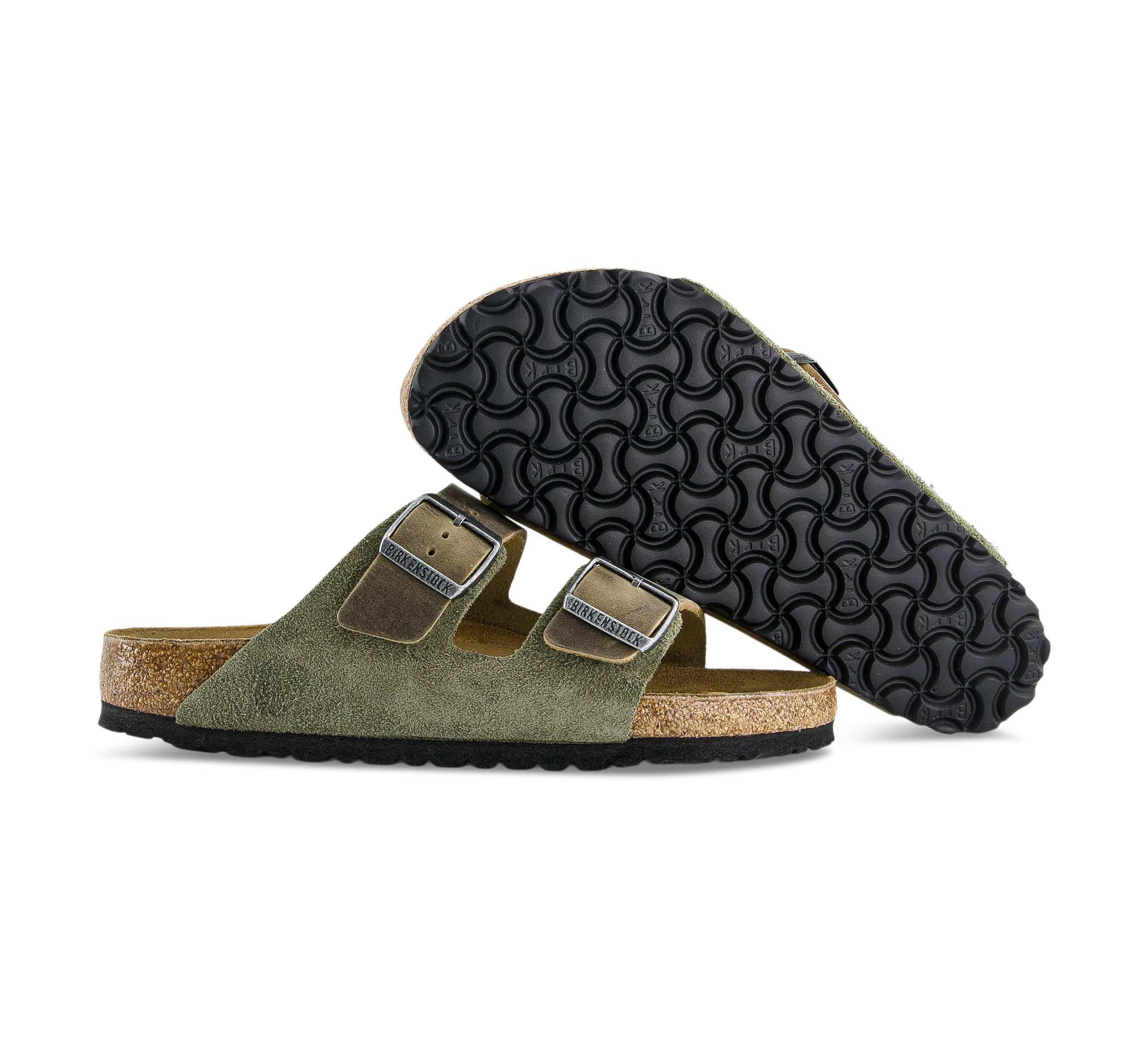 Arizona LEVE/LEOI Thyme