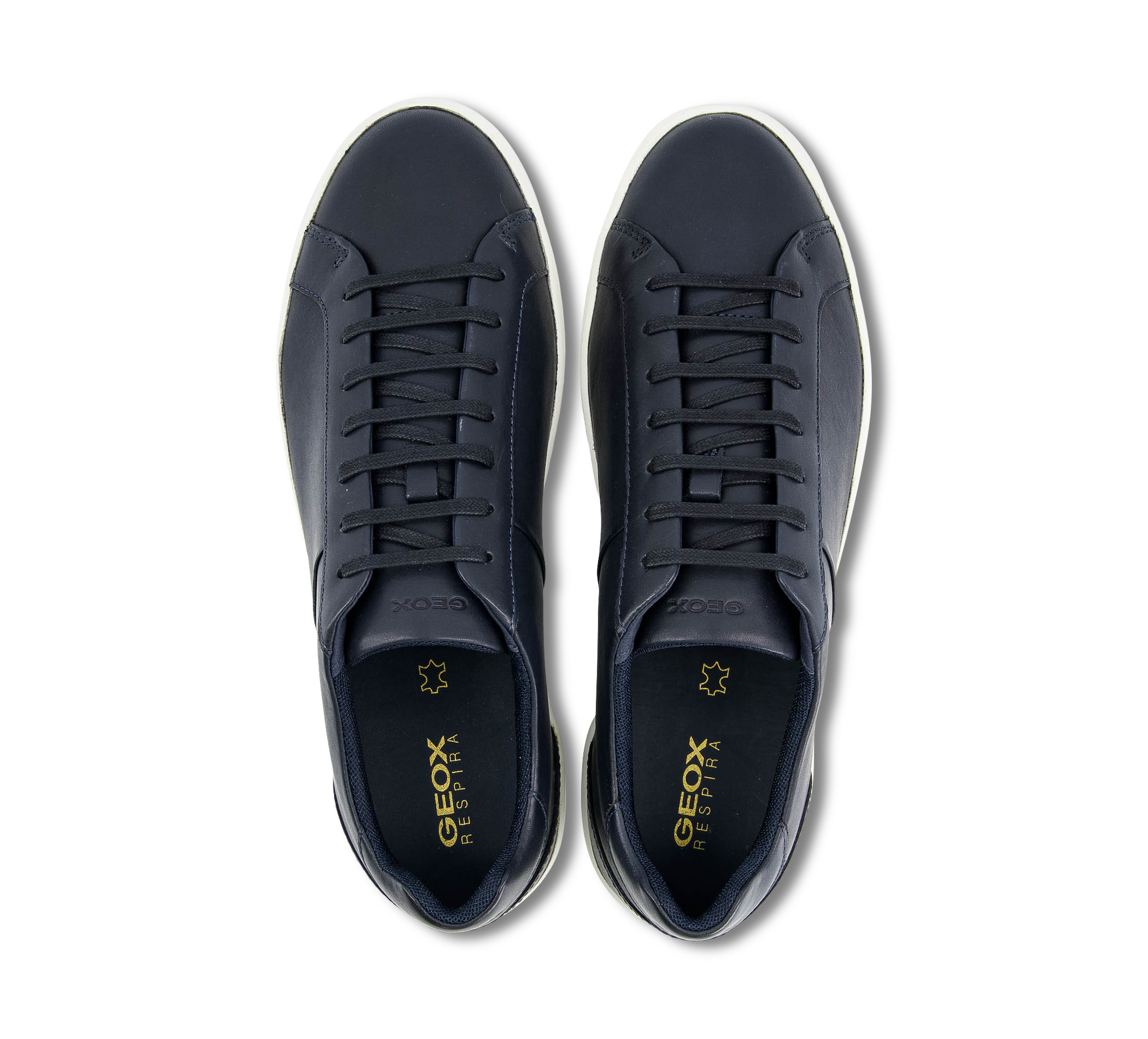 23885579_67fa1220-cb78-11ee-bb80-a744ab7cfce6