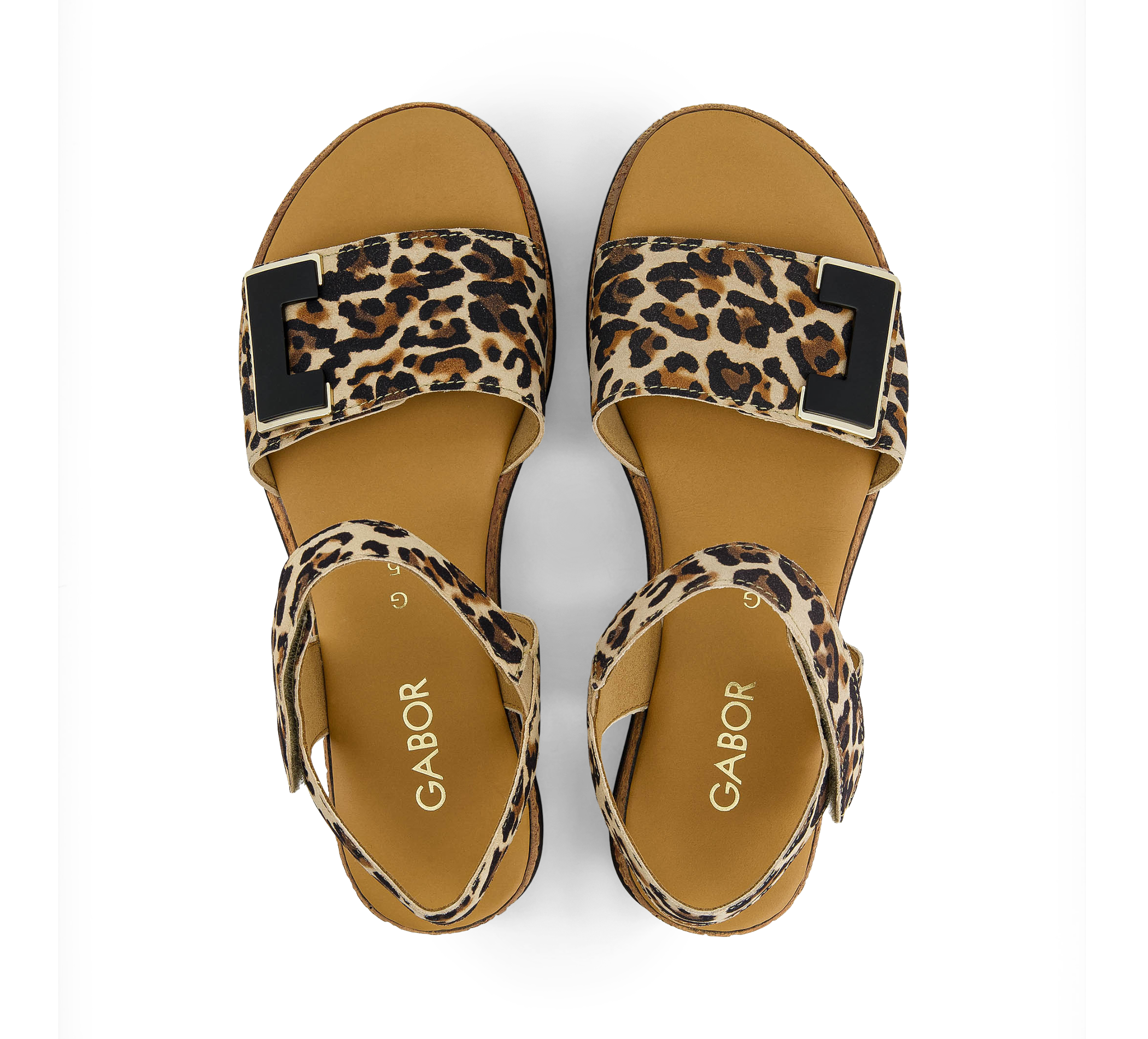 33245753_406e2fcd-304d-4ecc-ab22-16da154cd15f