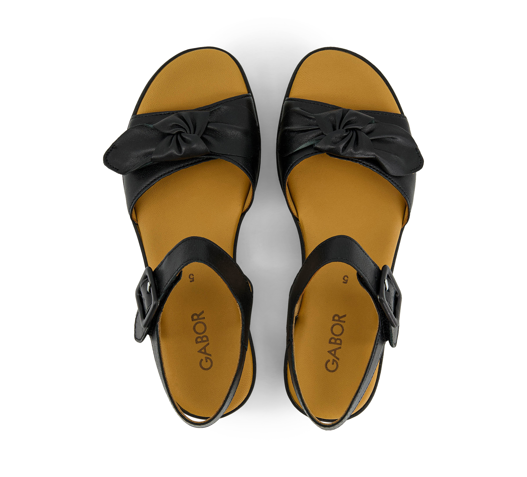 33323926_544db6b7-92bb-4b02-b1bd-686bd0b596f4