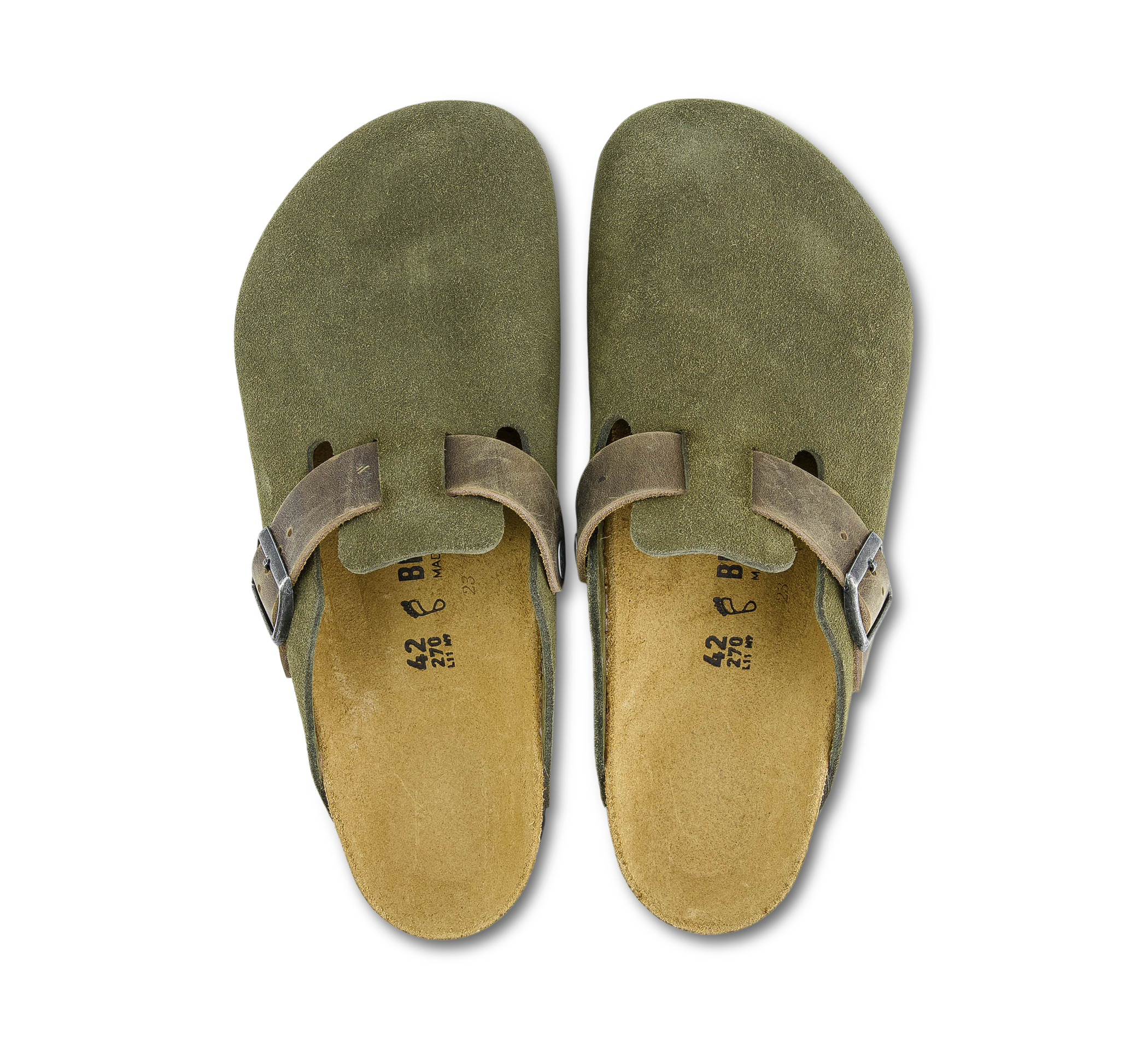 Boston LEVE/LEOI Thyme