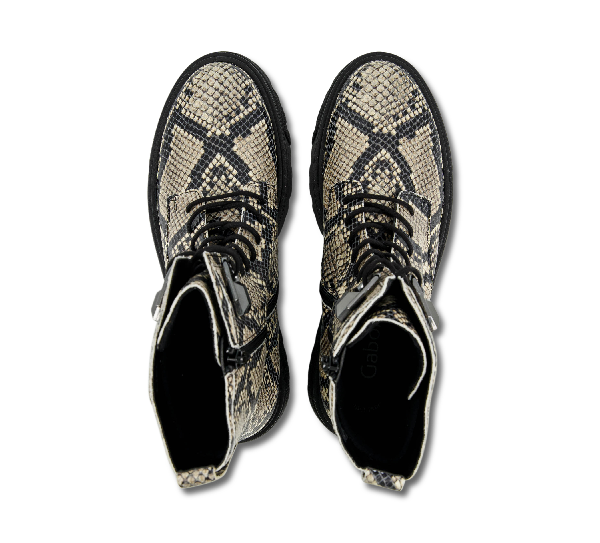 30926067_b349915d-f133-483e-8a55-43d73ff560f9