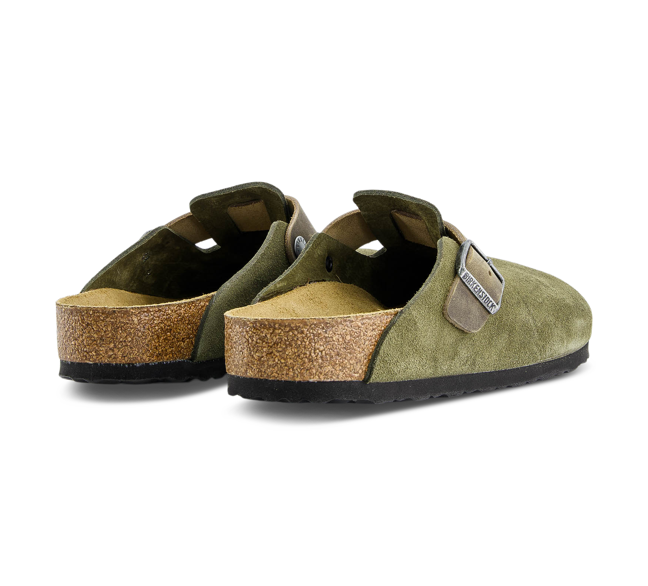 Boston LEVE/LEOI Thyme