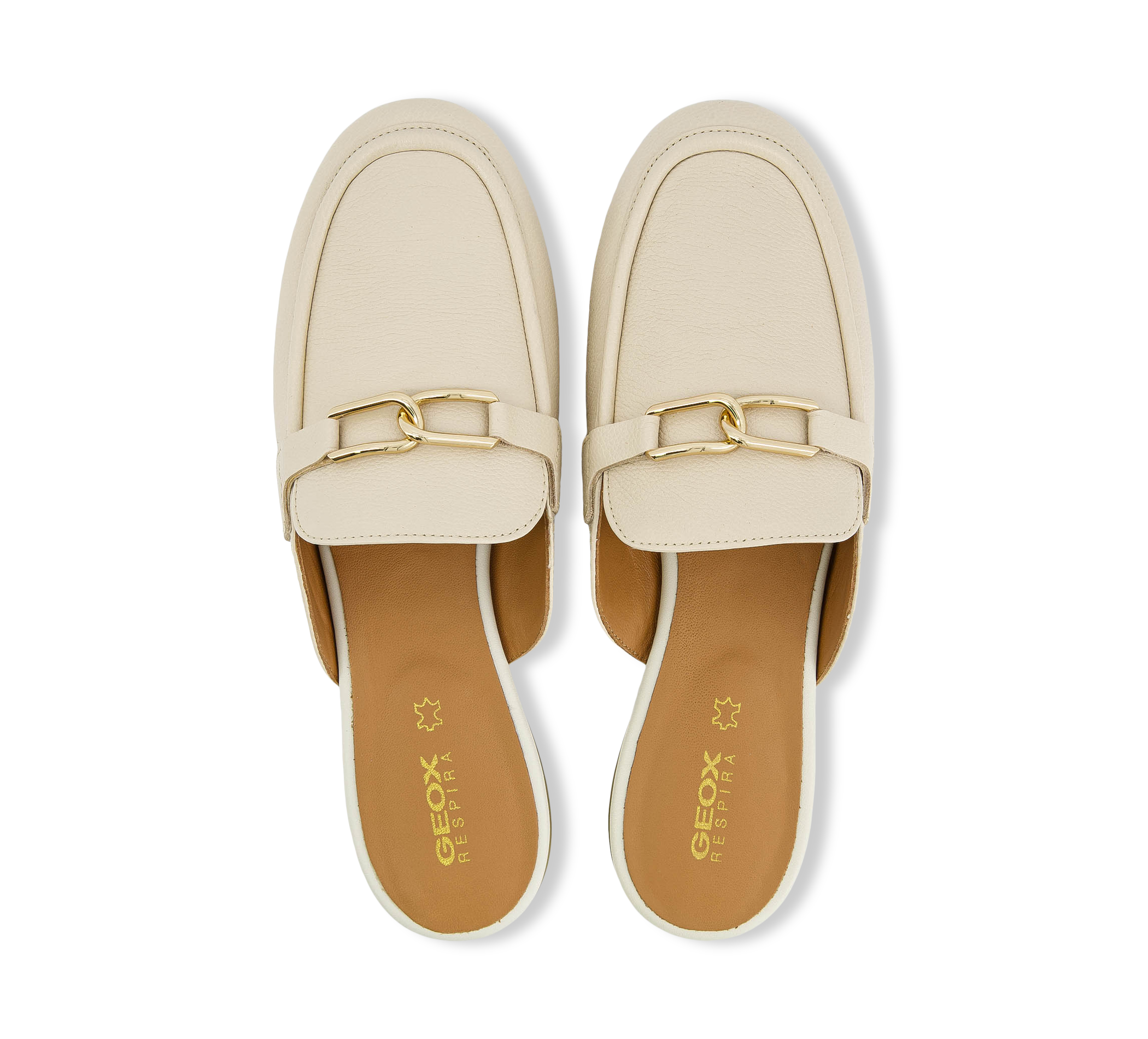 D PALMARIA C - TUMB.LEA