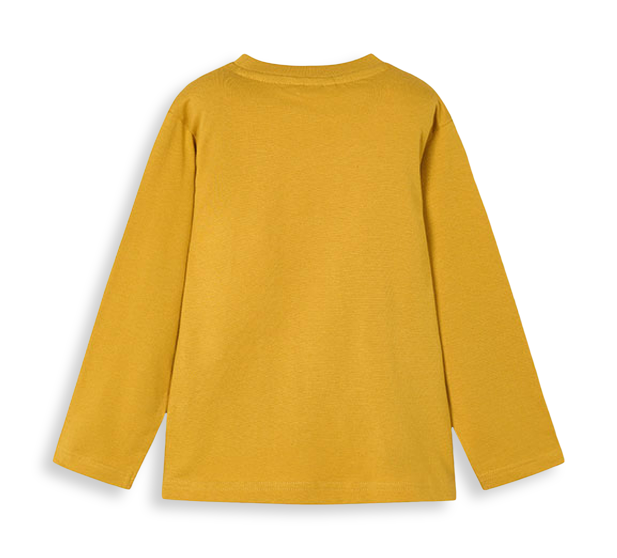 paar Shirt Langarm "dino"