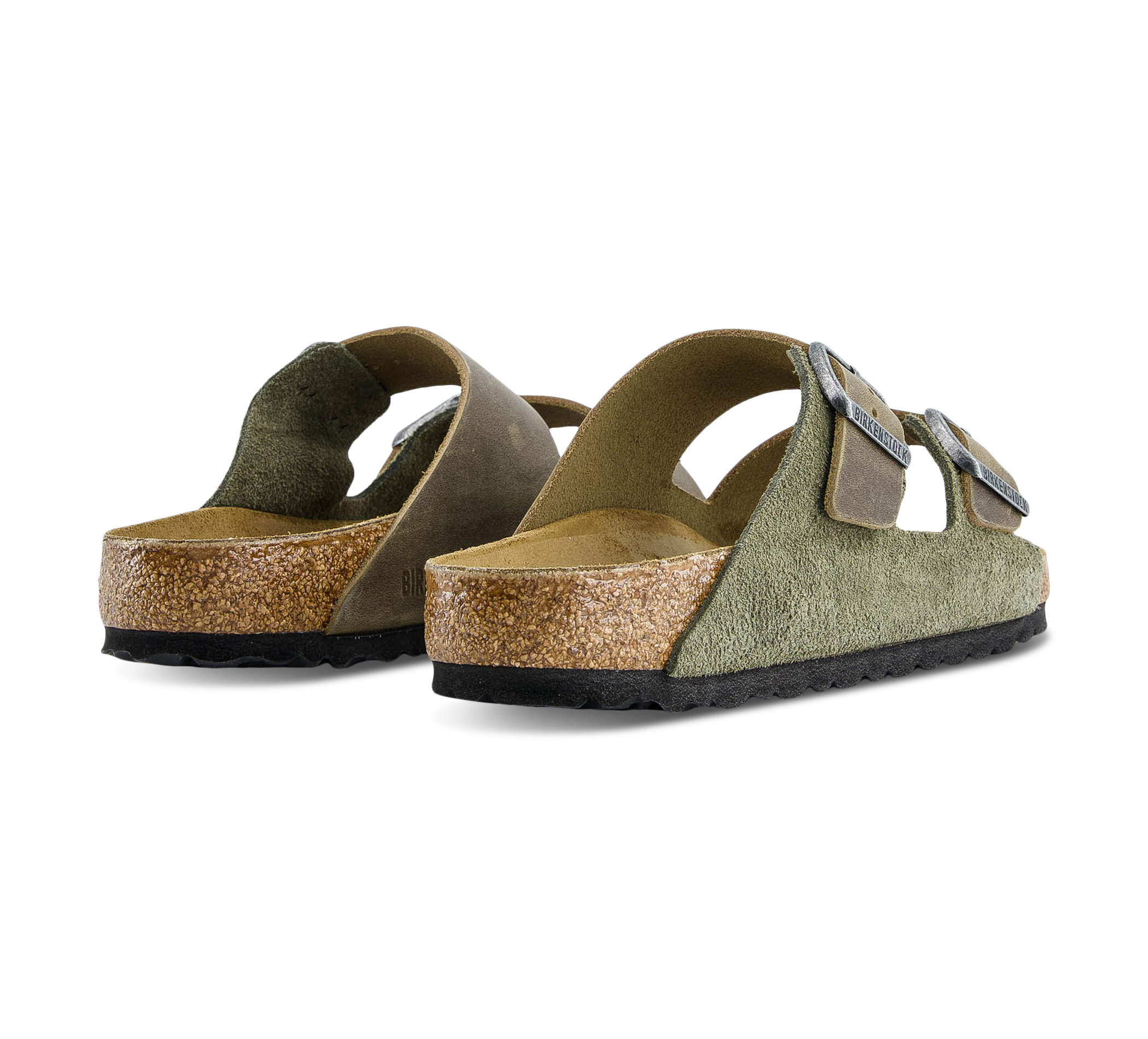 Arizona LEVE/LEOI Thyme