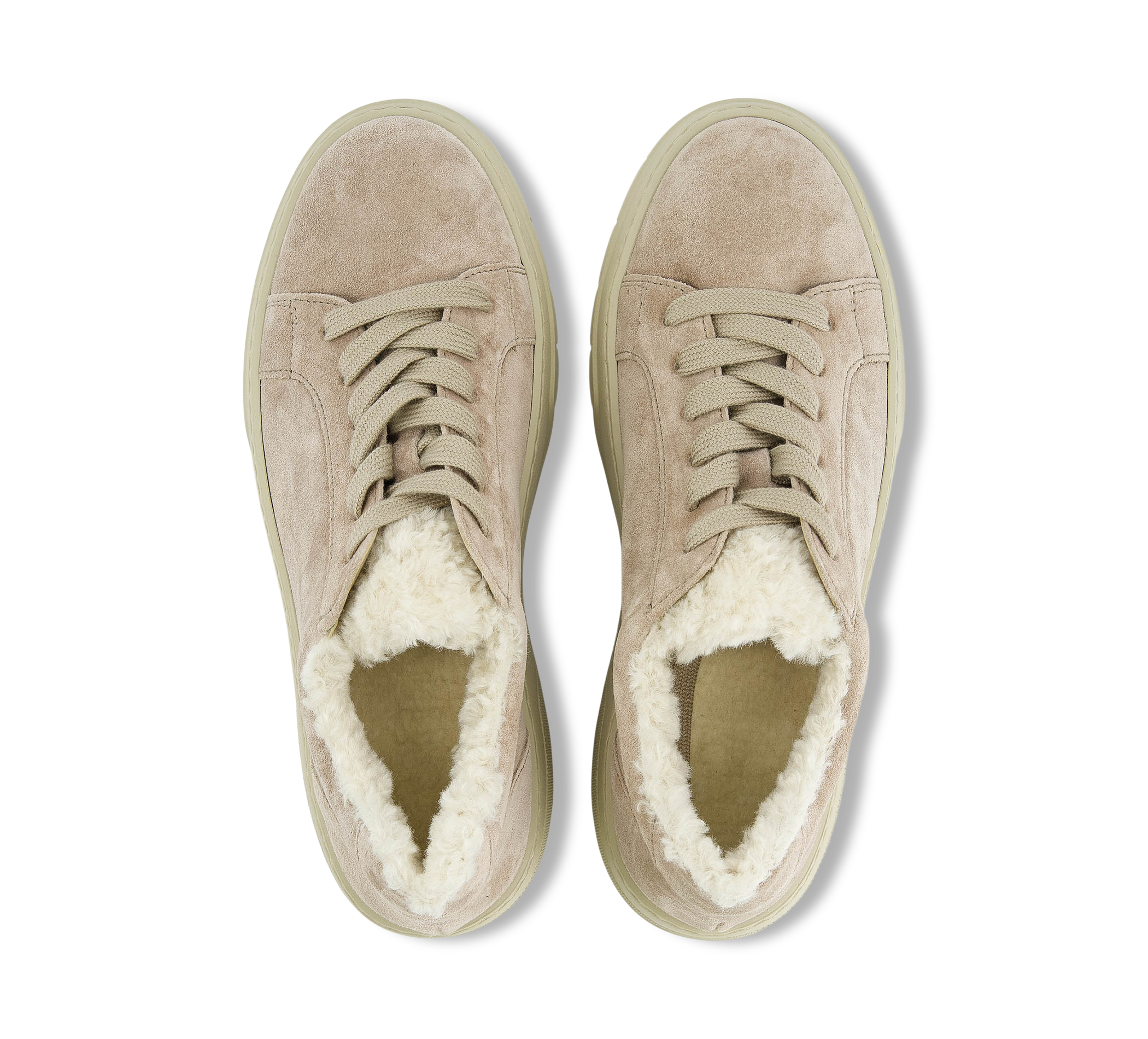 30475646_920f81e6-8fb9-4964-bee2-ed303e34db0c