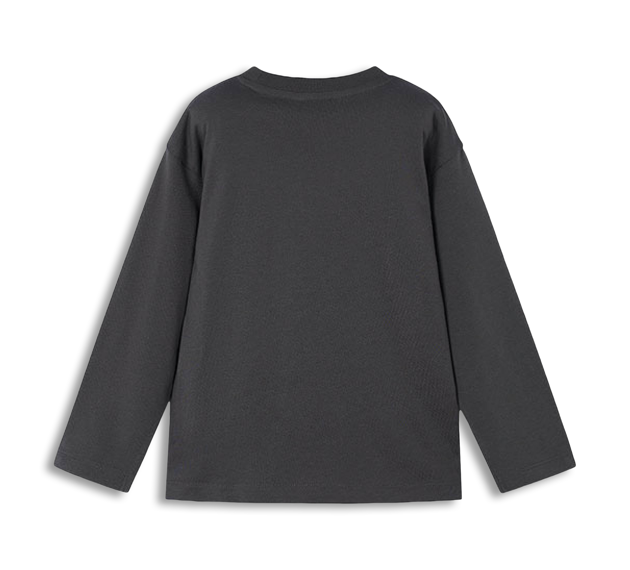 Shirt Langarm "explorer"